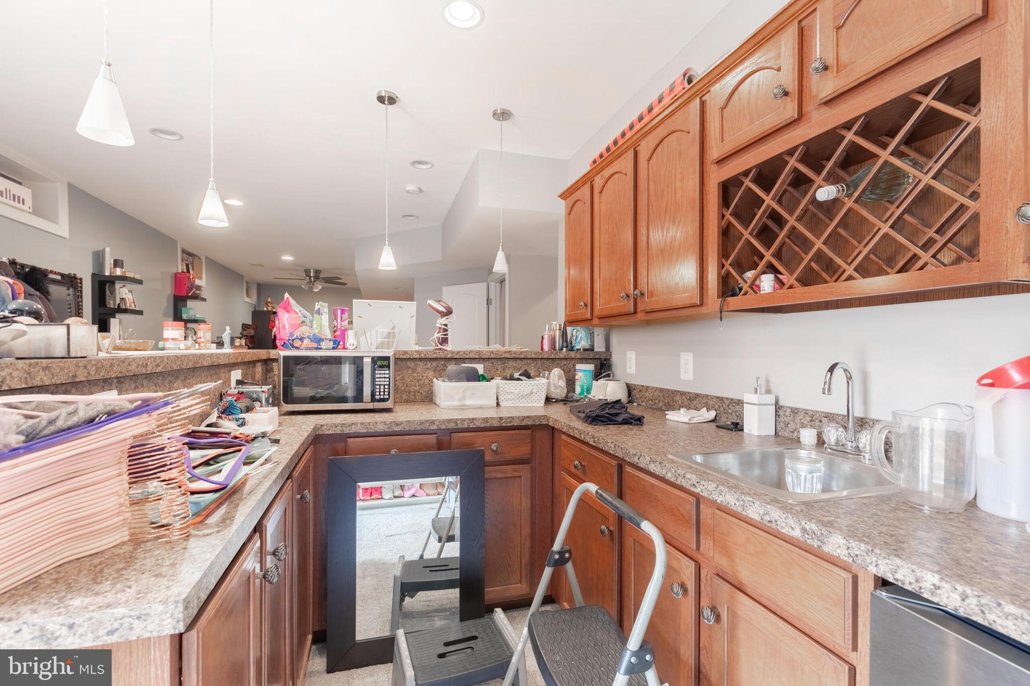 VILLAGES OF PIEDMONT AT LEOPOLD'S PRESERVE - Residential