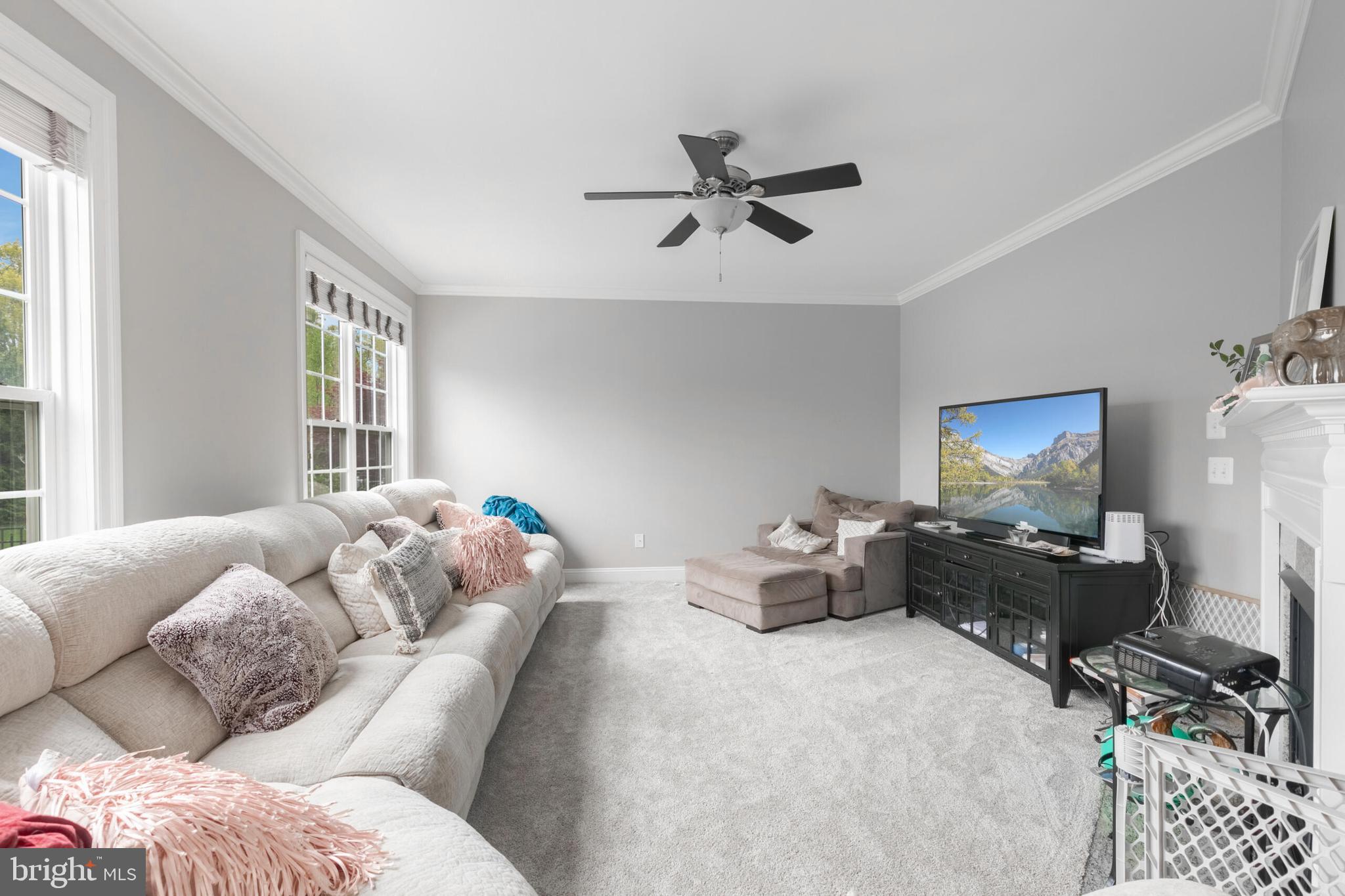 VILLAGES OF PIEDMONT AT LEOPOLD'S PRESERVE - Residential