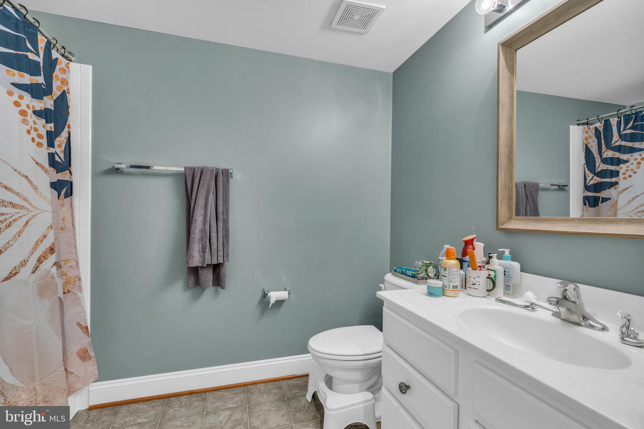 VILLAGES OF PIEDMONT AT LEOPOLD'S PRESERVE - Residential