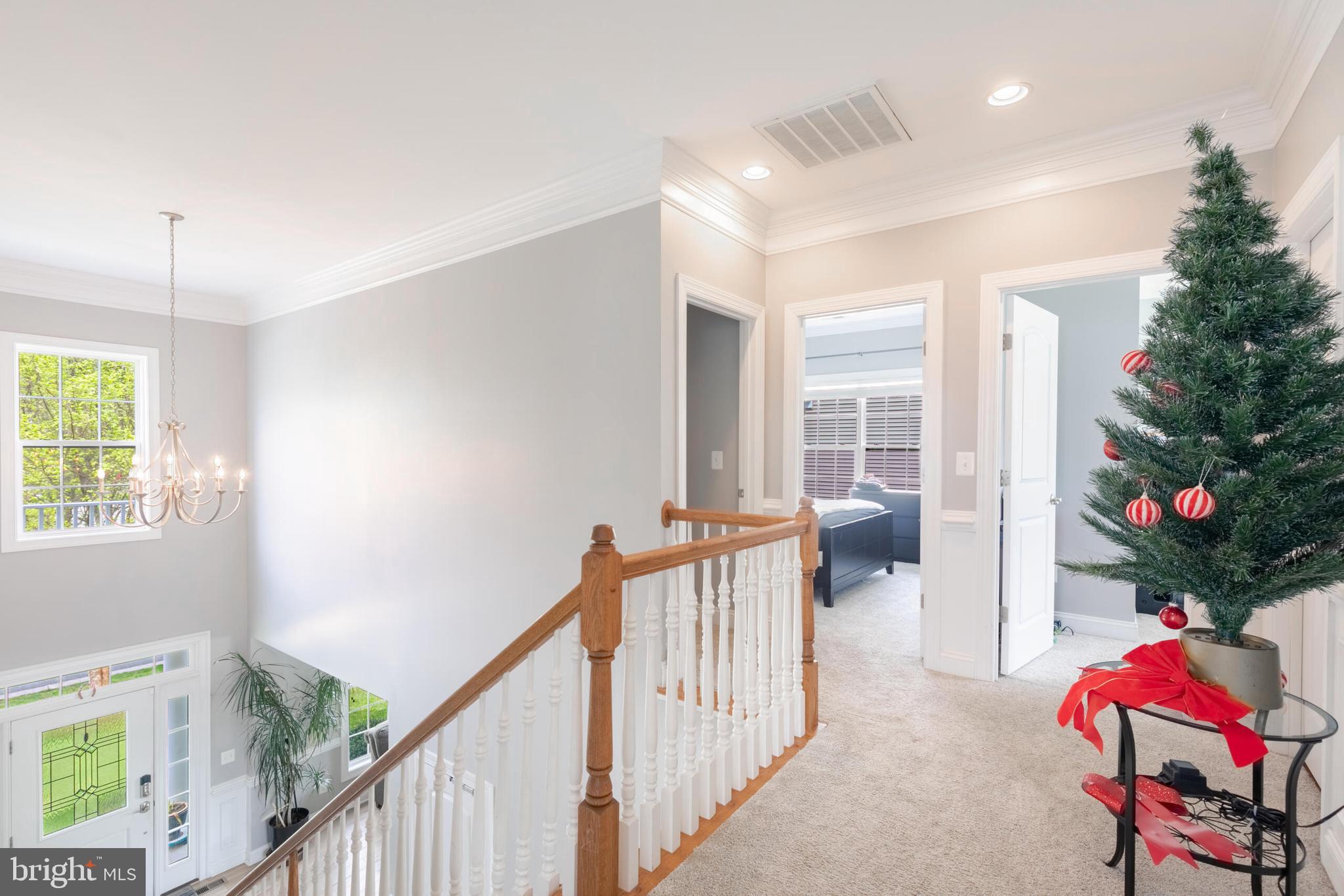 VILLAGES OF PIEDMONT AT LEOPOLD'S PRESERVE - Residential