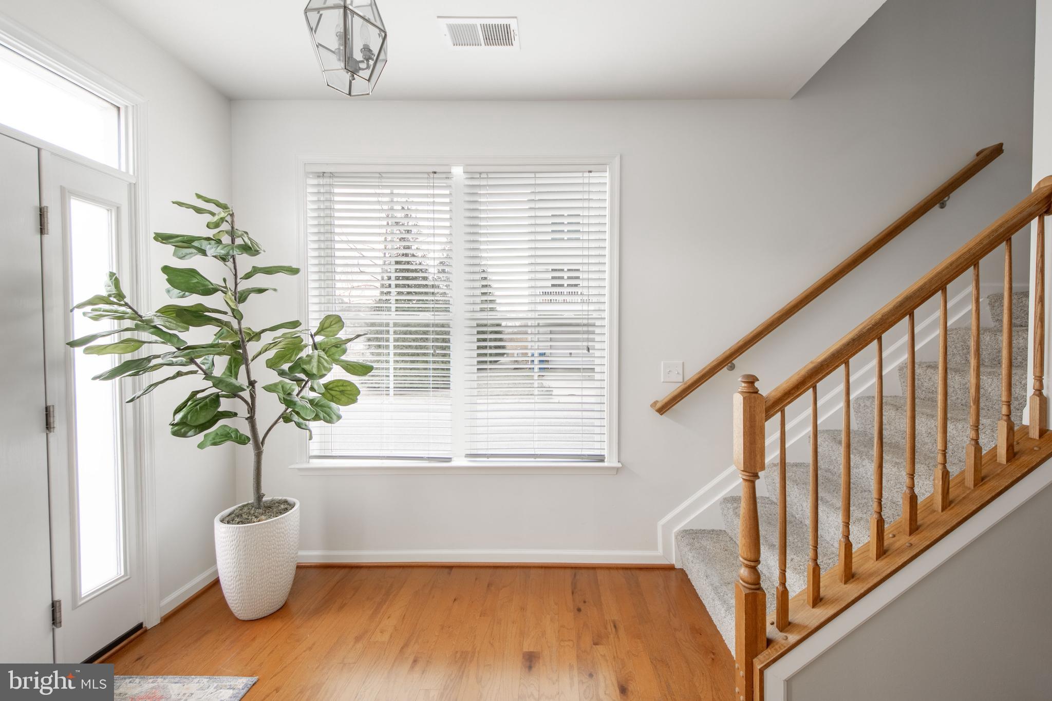 ELLENDALE - Residential