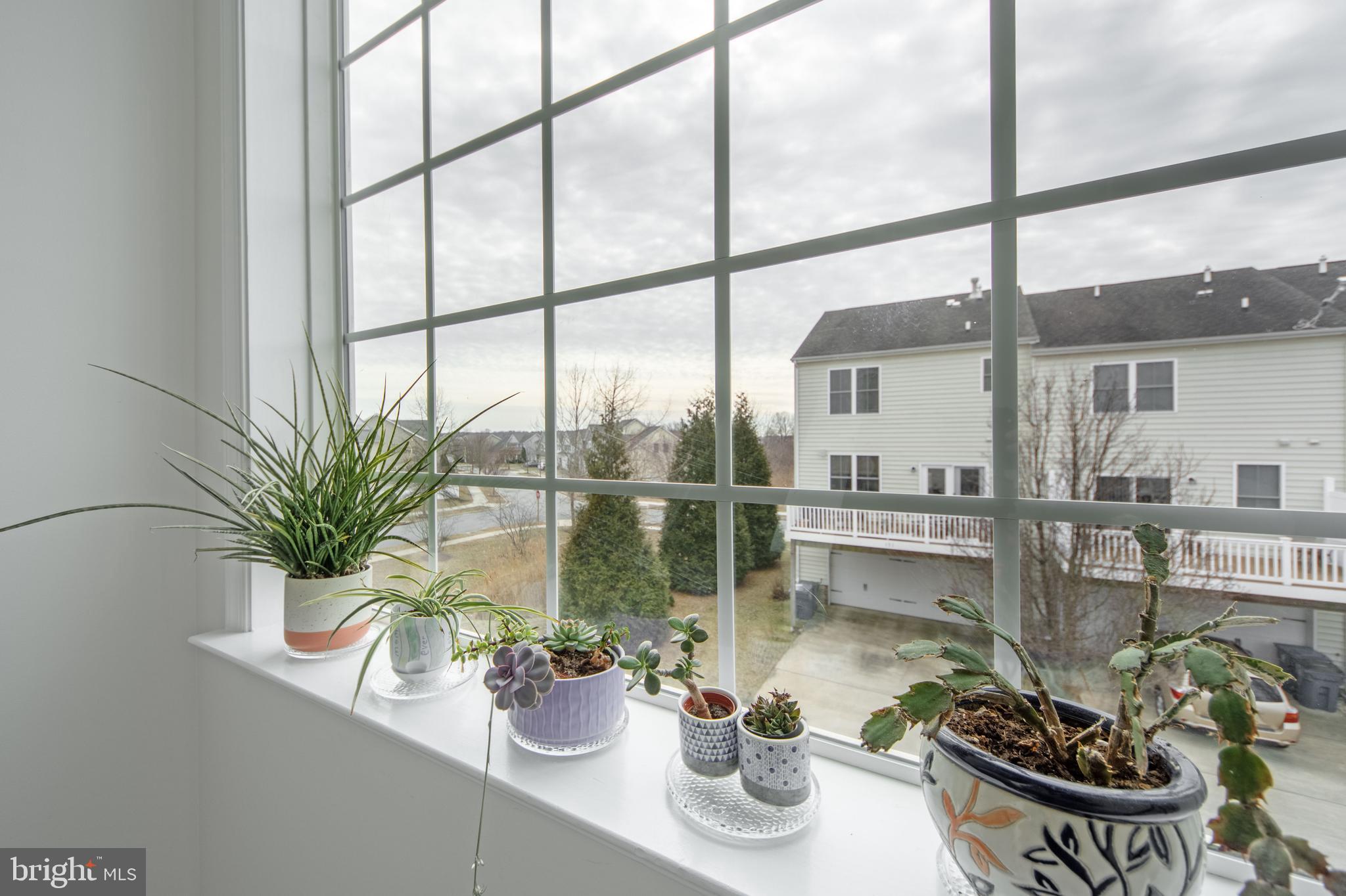 ELLENDALE - Residential