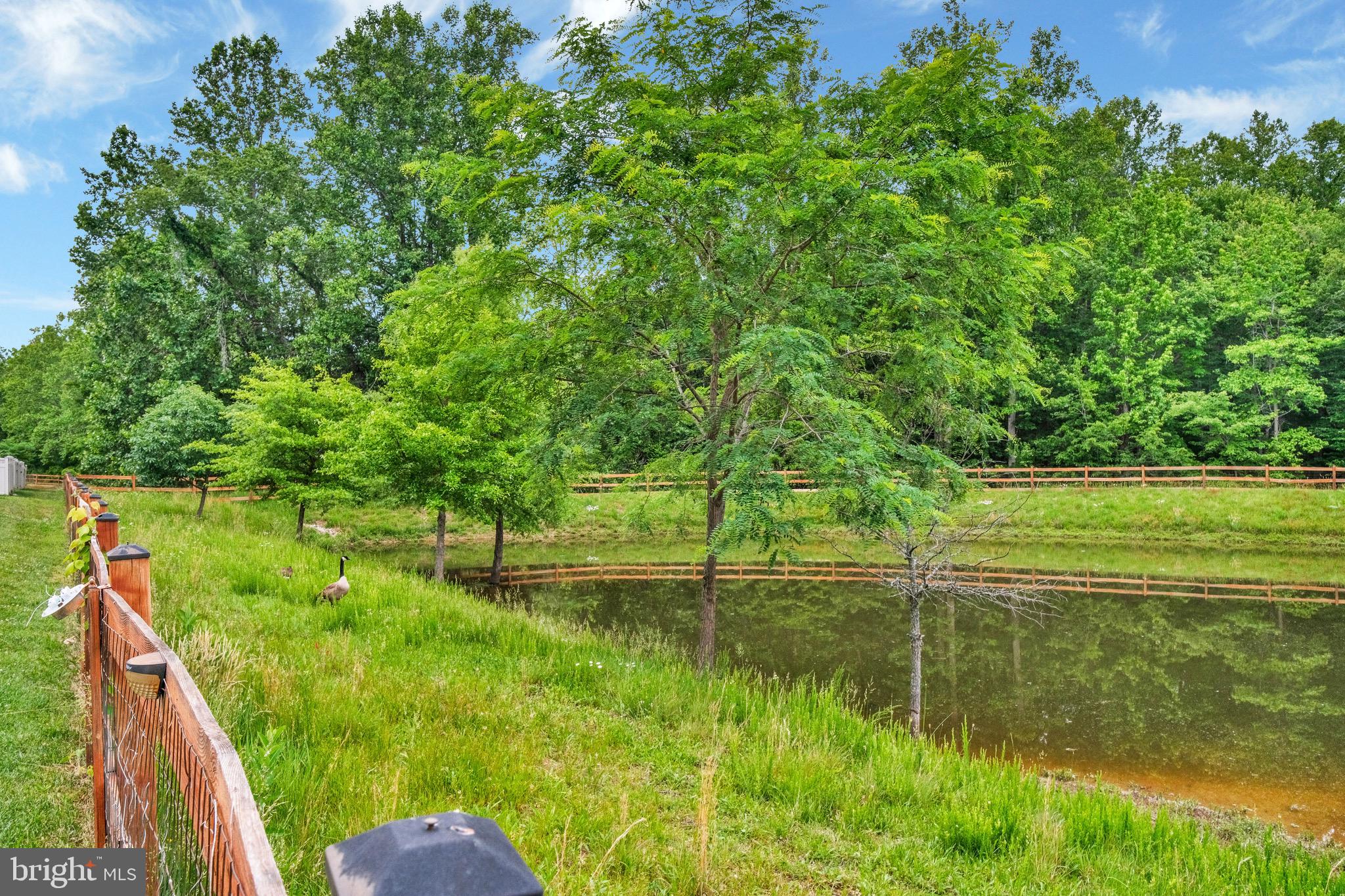 ADAMS CROSSING - Residential