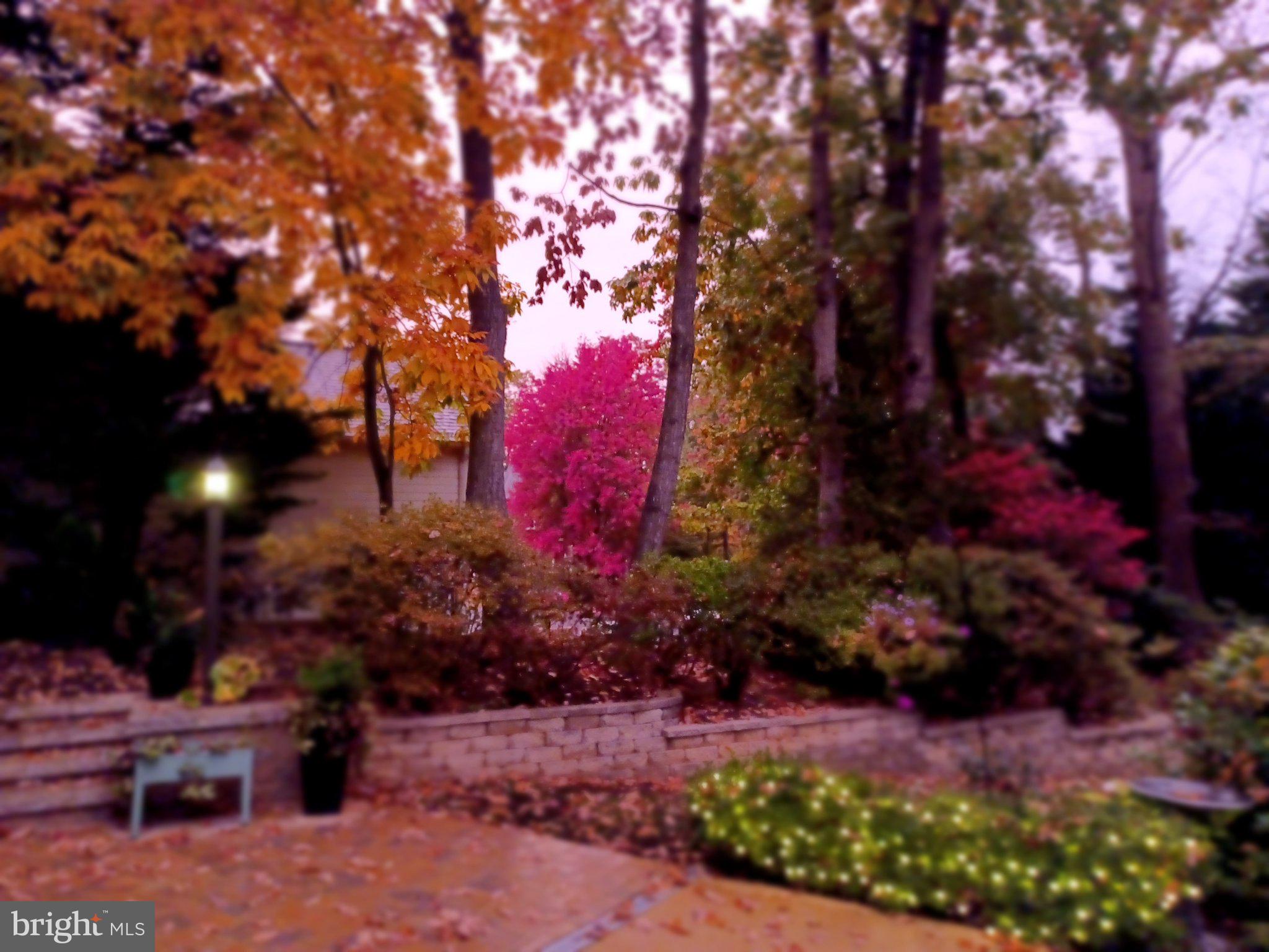 ANNANDALE WOODS - Residential