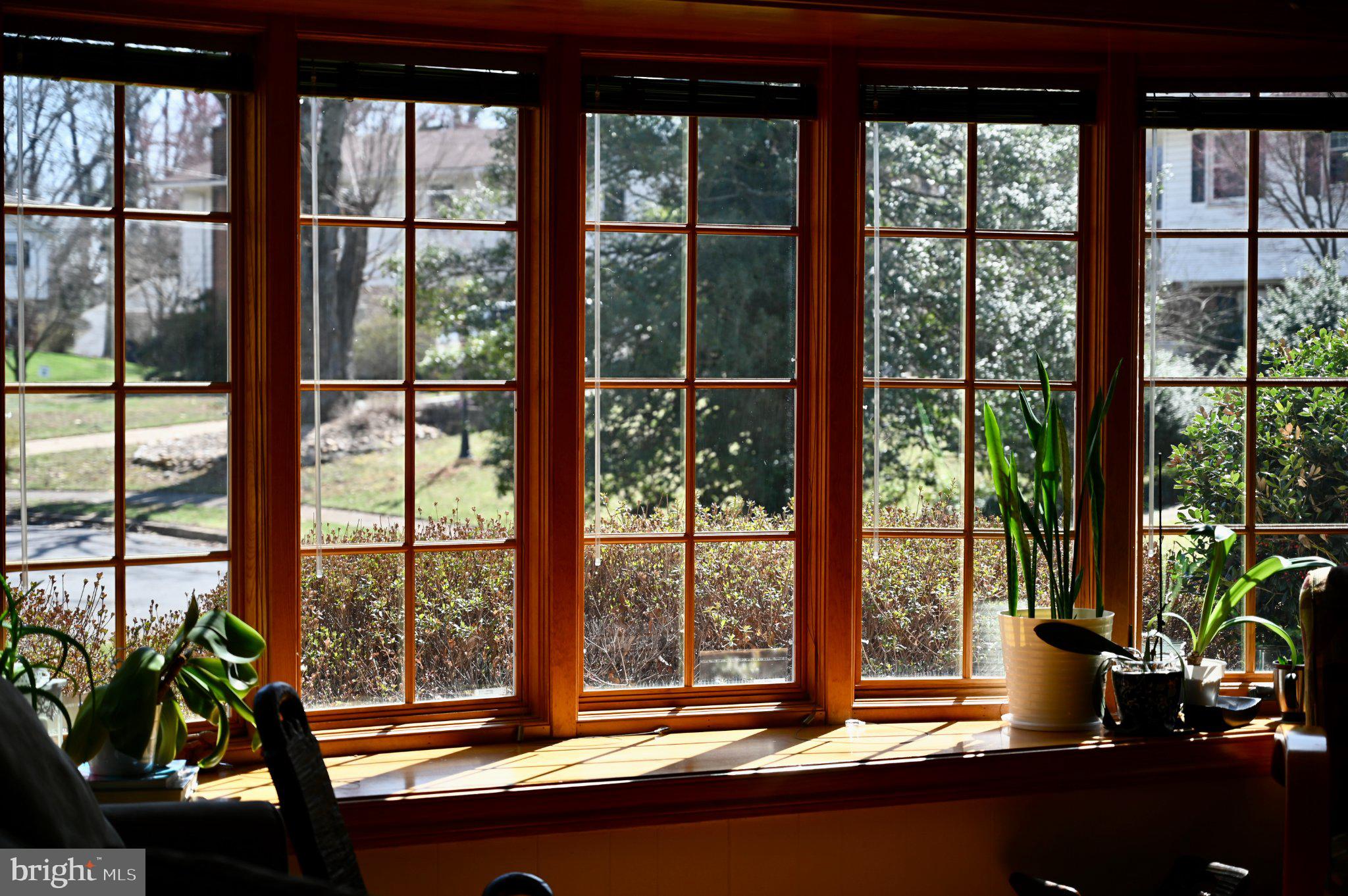 ANNANDALE WOODS - Residential