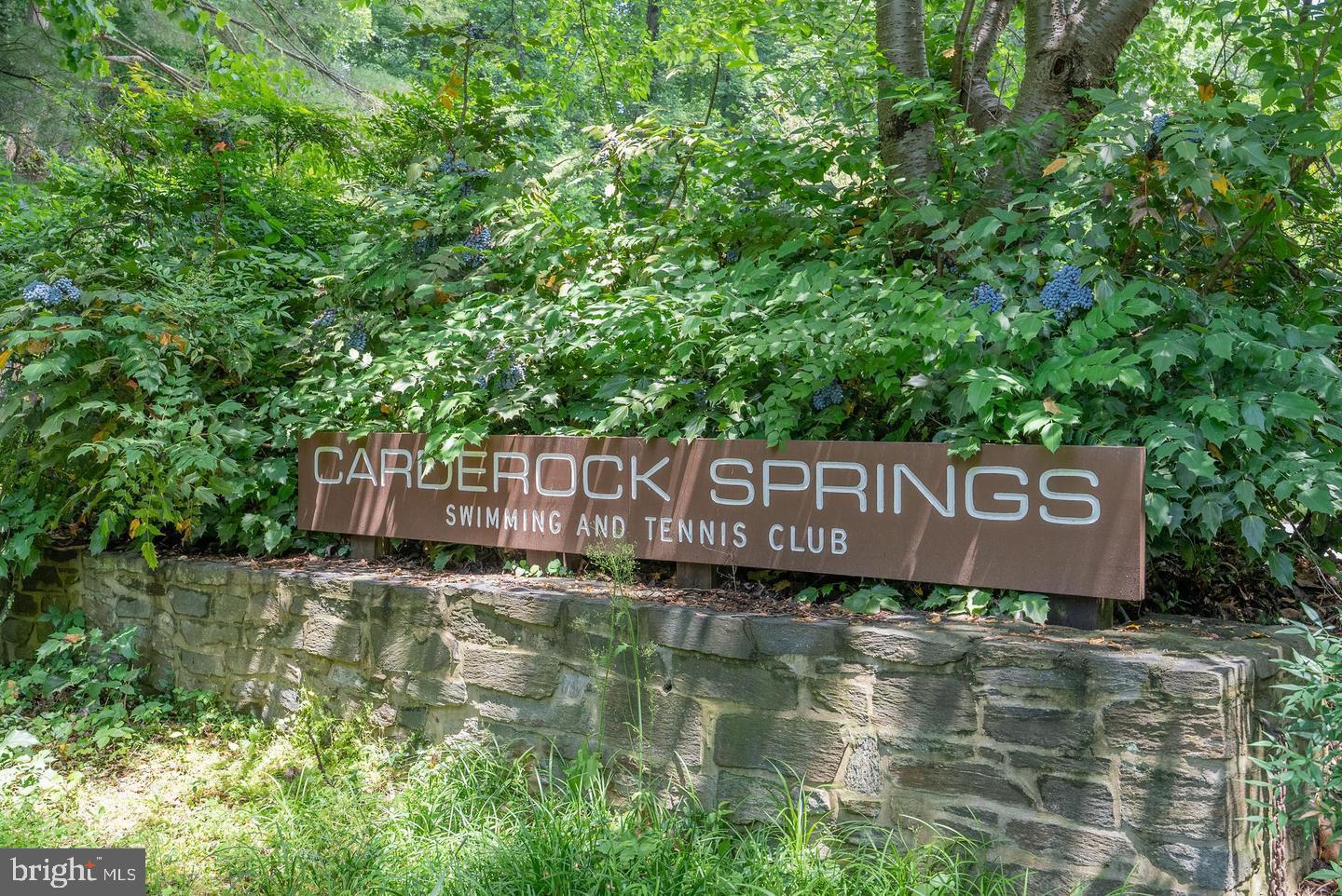CARDEROCK SPRINGS - Residential