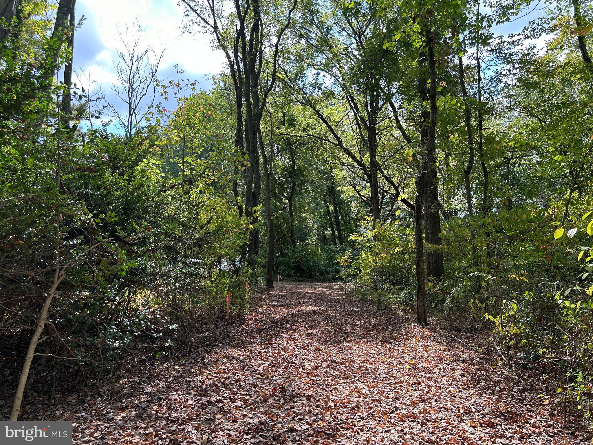 VINCENTOWN ROAD