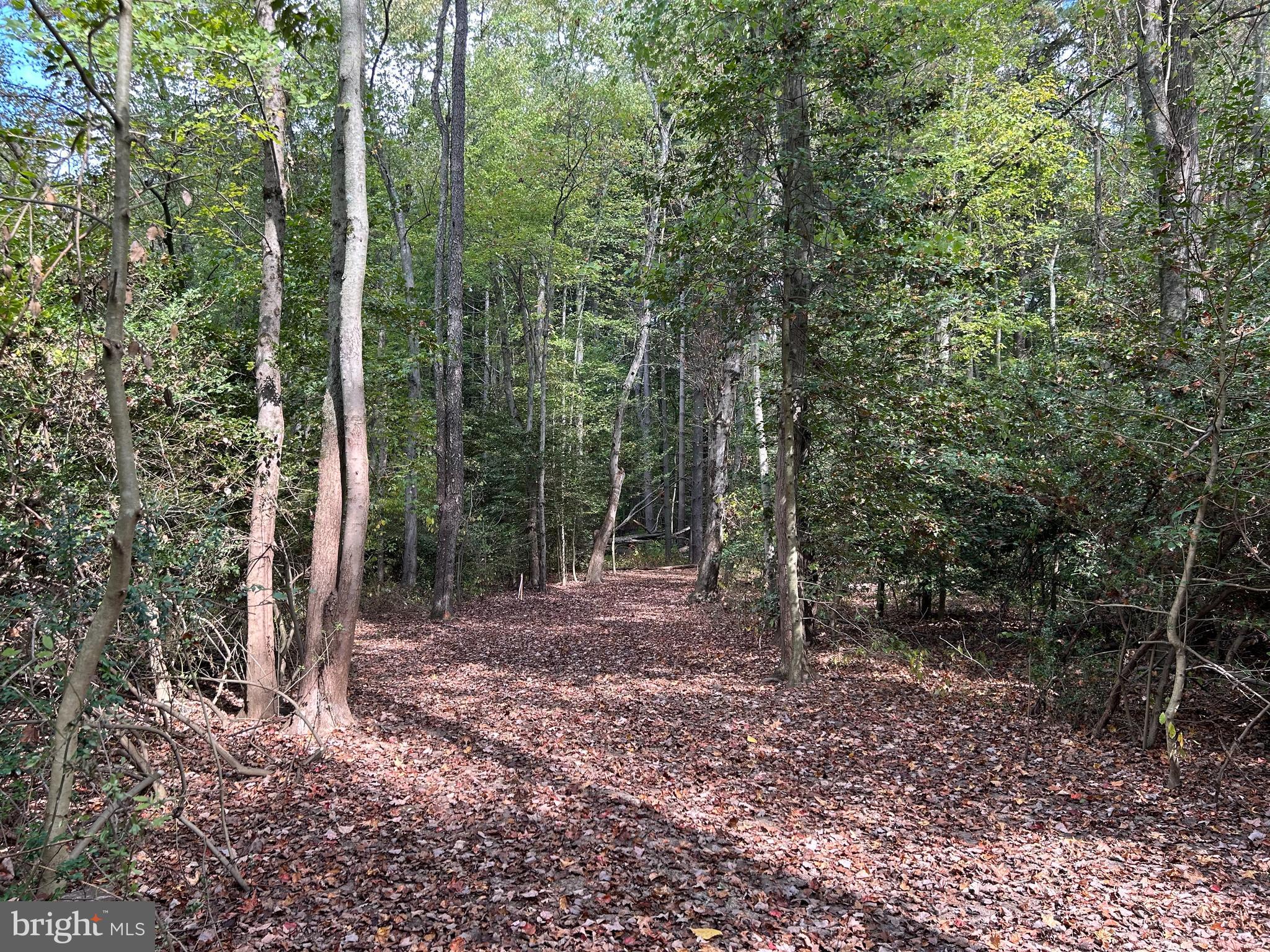 VINCENTOWN ROAD