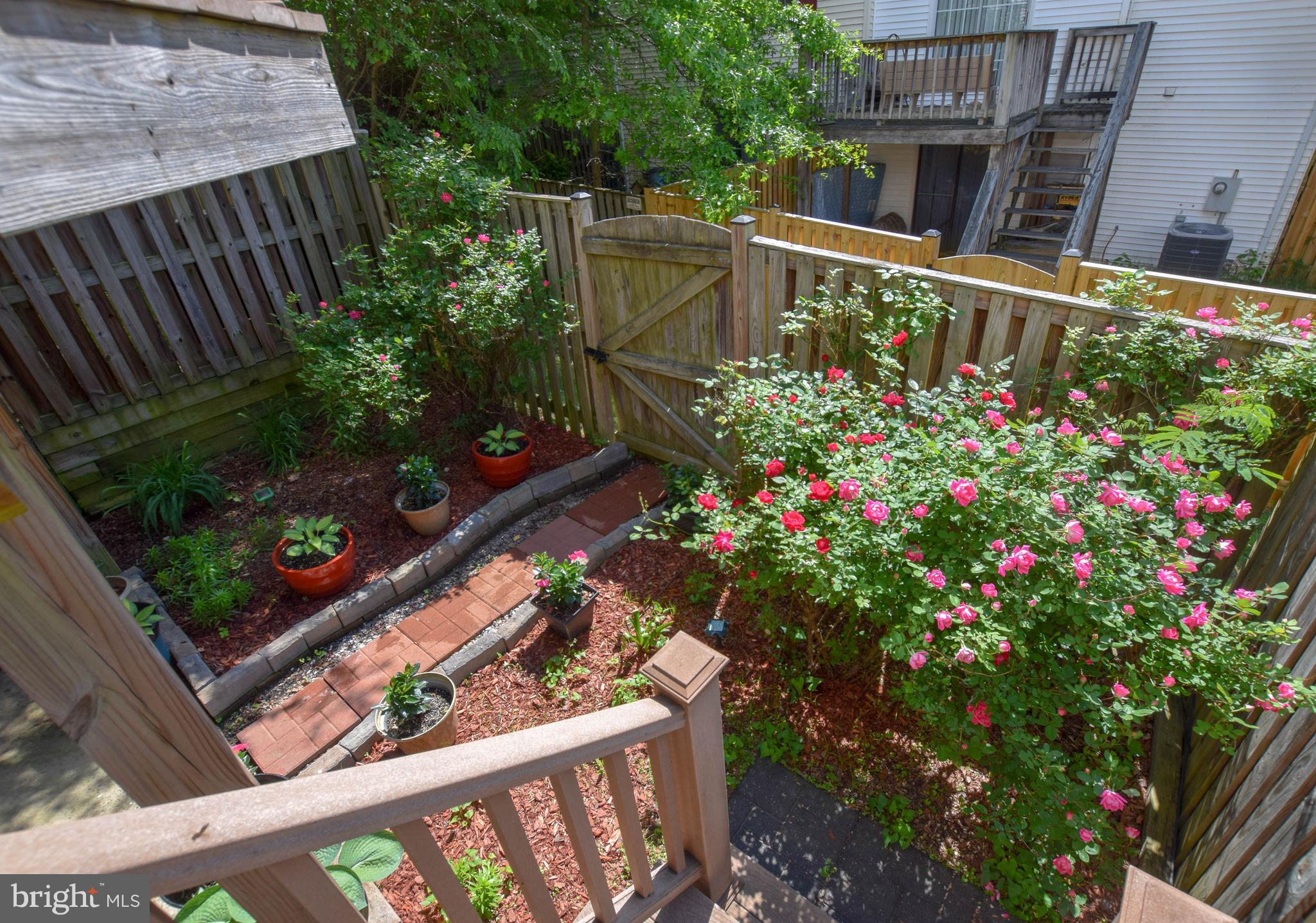 RUNNYMEADE - Residential Lease