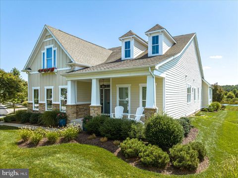 38896 BLUE INDIGO ROAD SELBYVILLE DE 19975