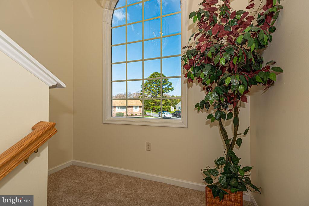 HENRYS GREEN - Residential