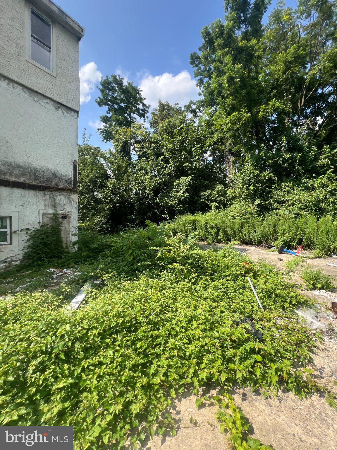 64-68 WISTER STREET E