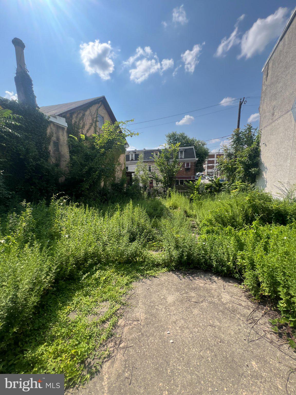64-68 WISTER STREET E