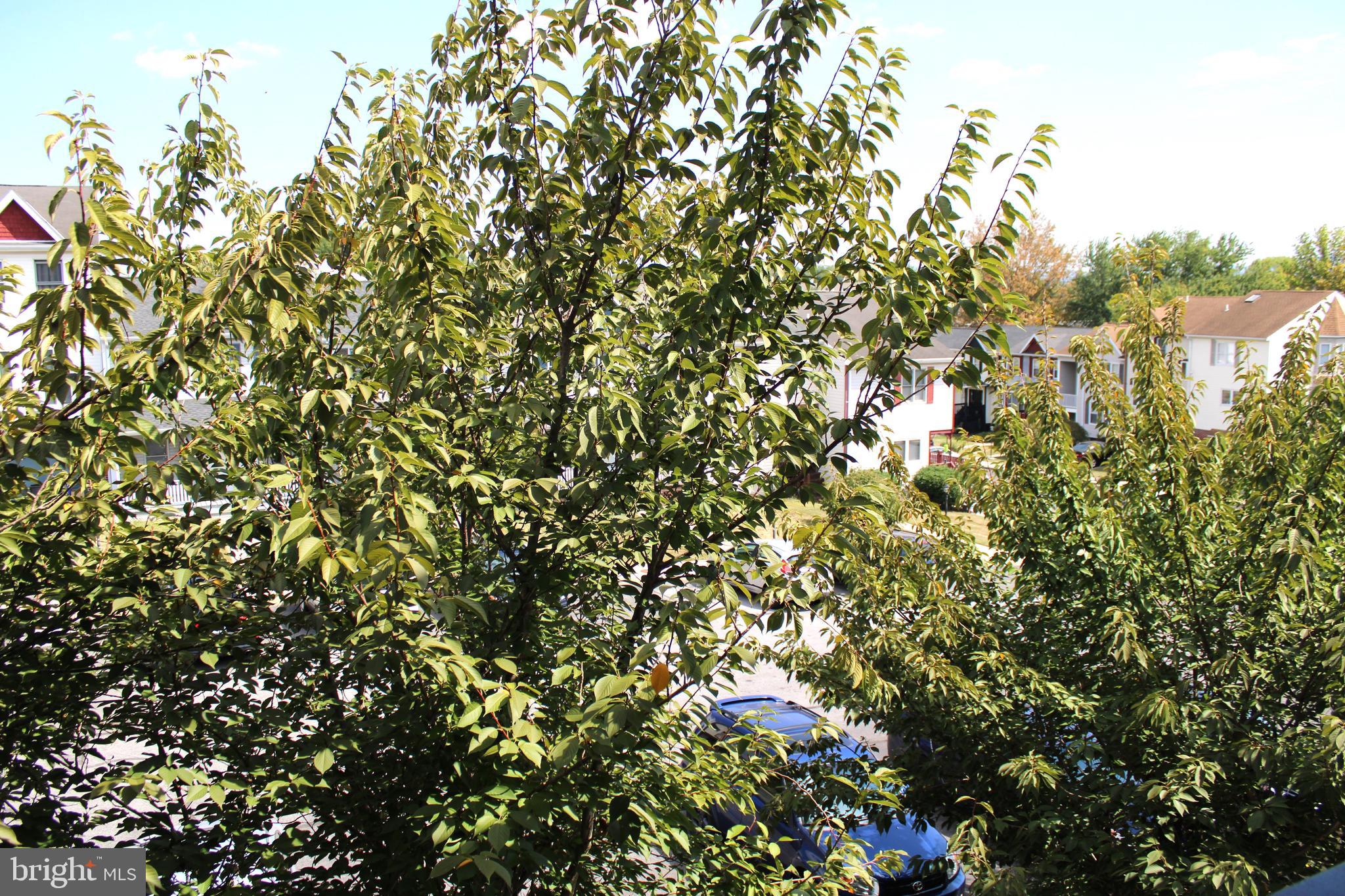 KENLY SQUARE - Residential Lease