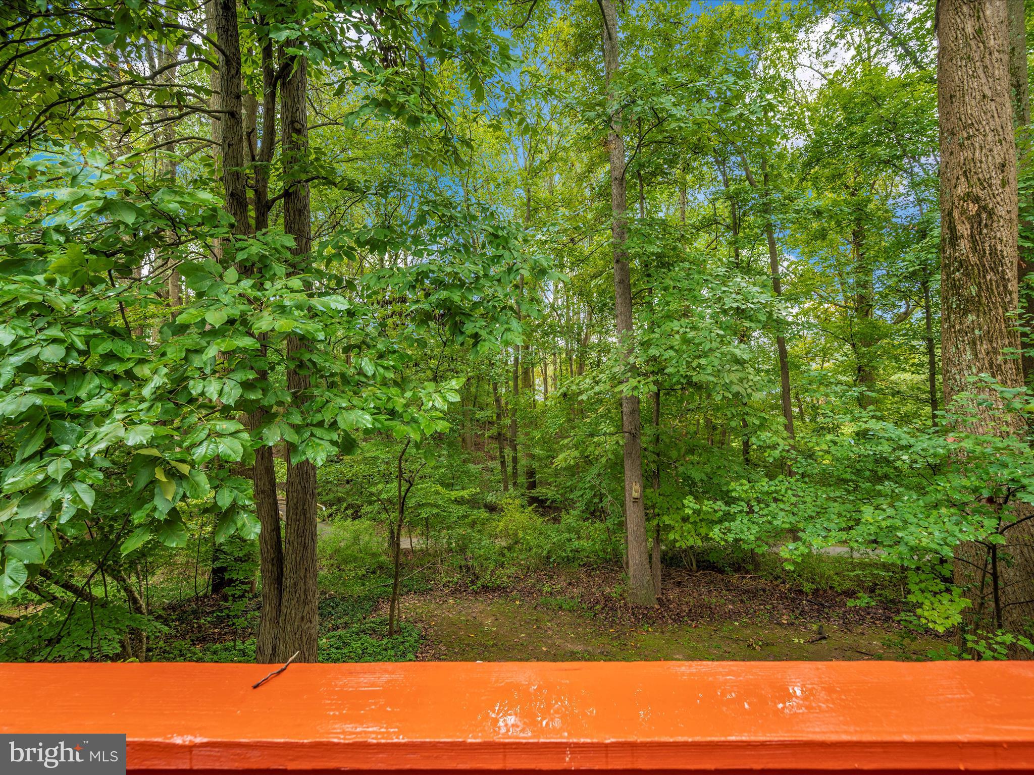 VILLAGE OF HICKORY RIDGE - Residential