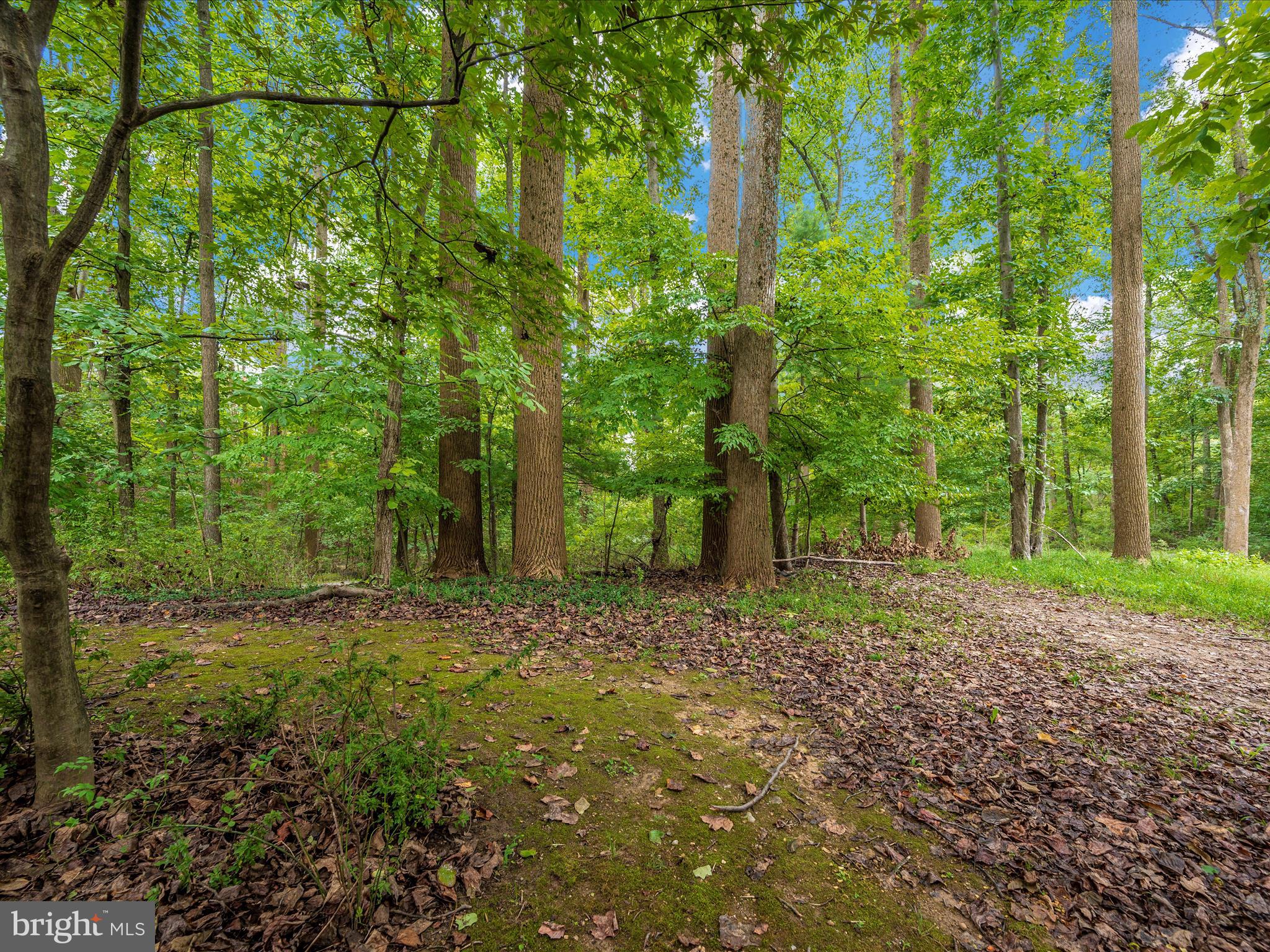 VILLAGE OF HICKORY RIDGE - Residential