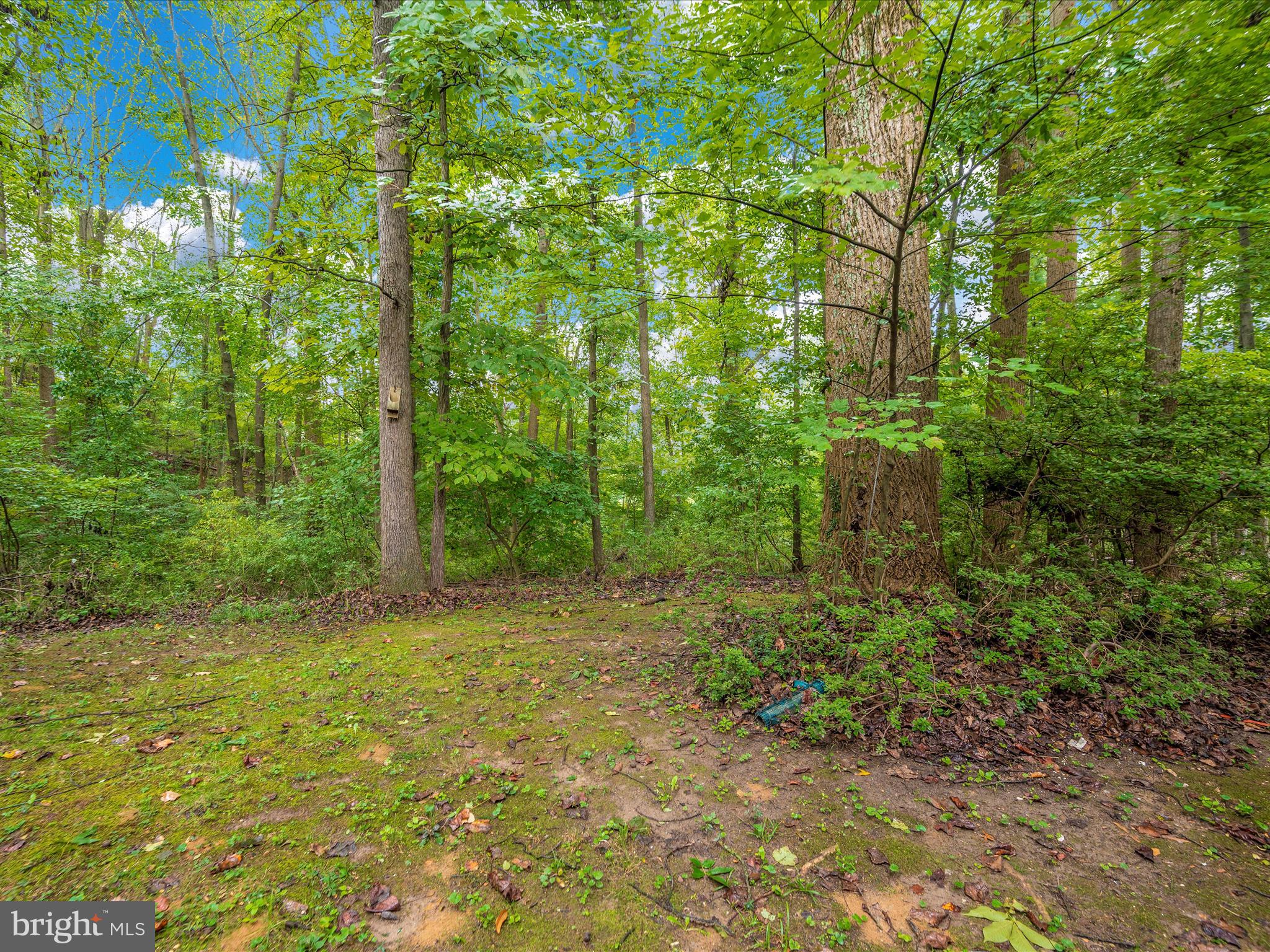 VILLAGE OF HICKORY RIDGE - Residential