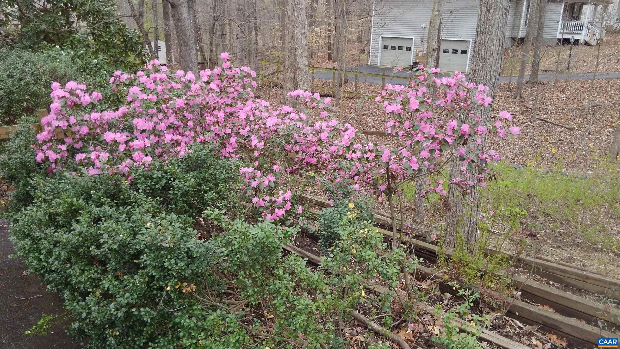 SADDLEWOOD FARMS - Residential
