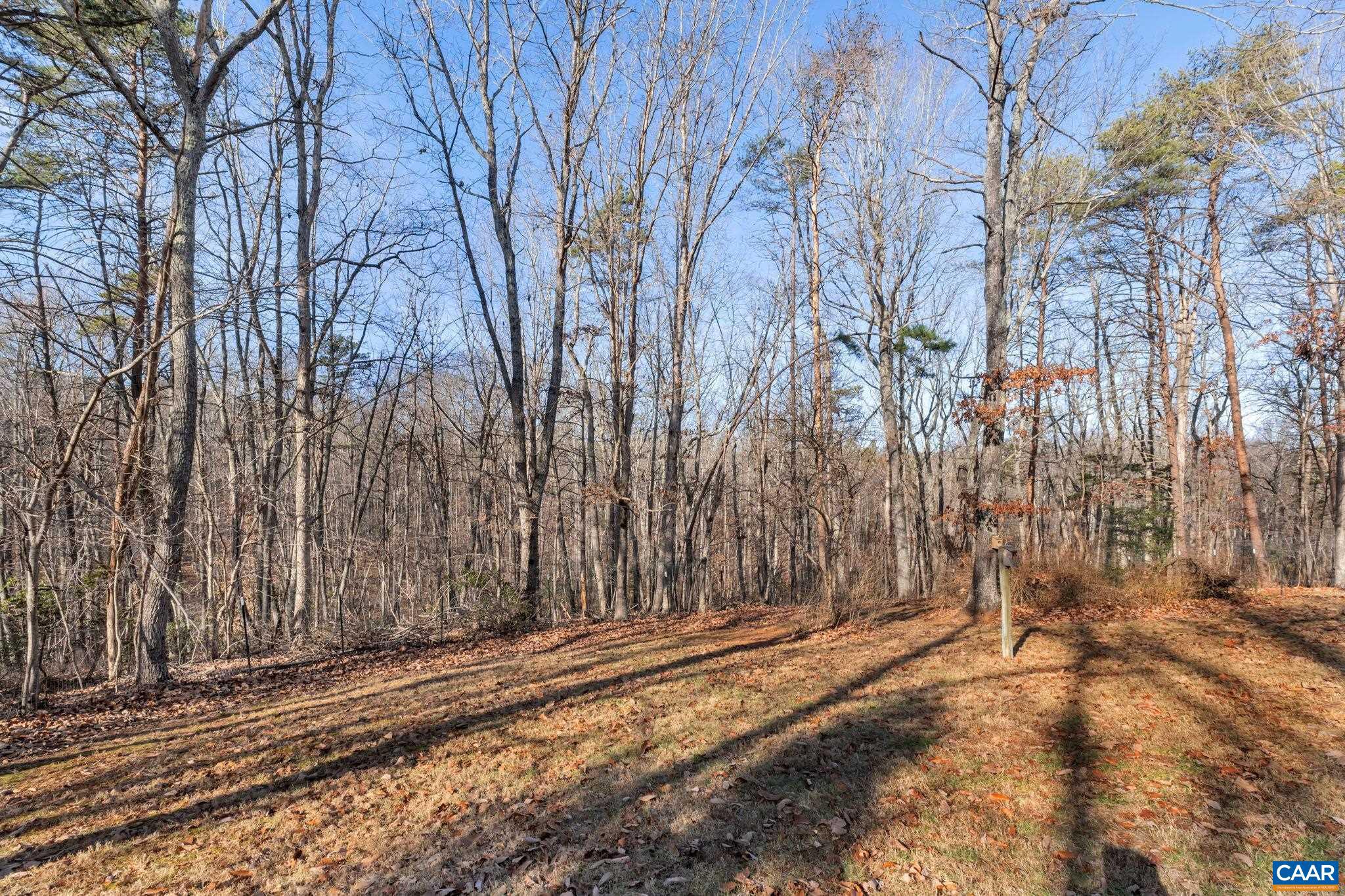 SADDLEWOOD FARMS - Residential