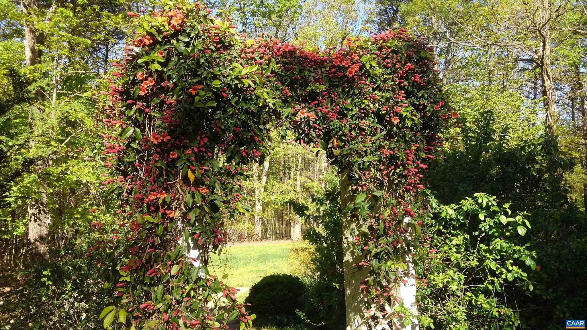 SADDLEWOOD FARMS - Residential