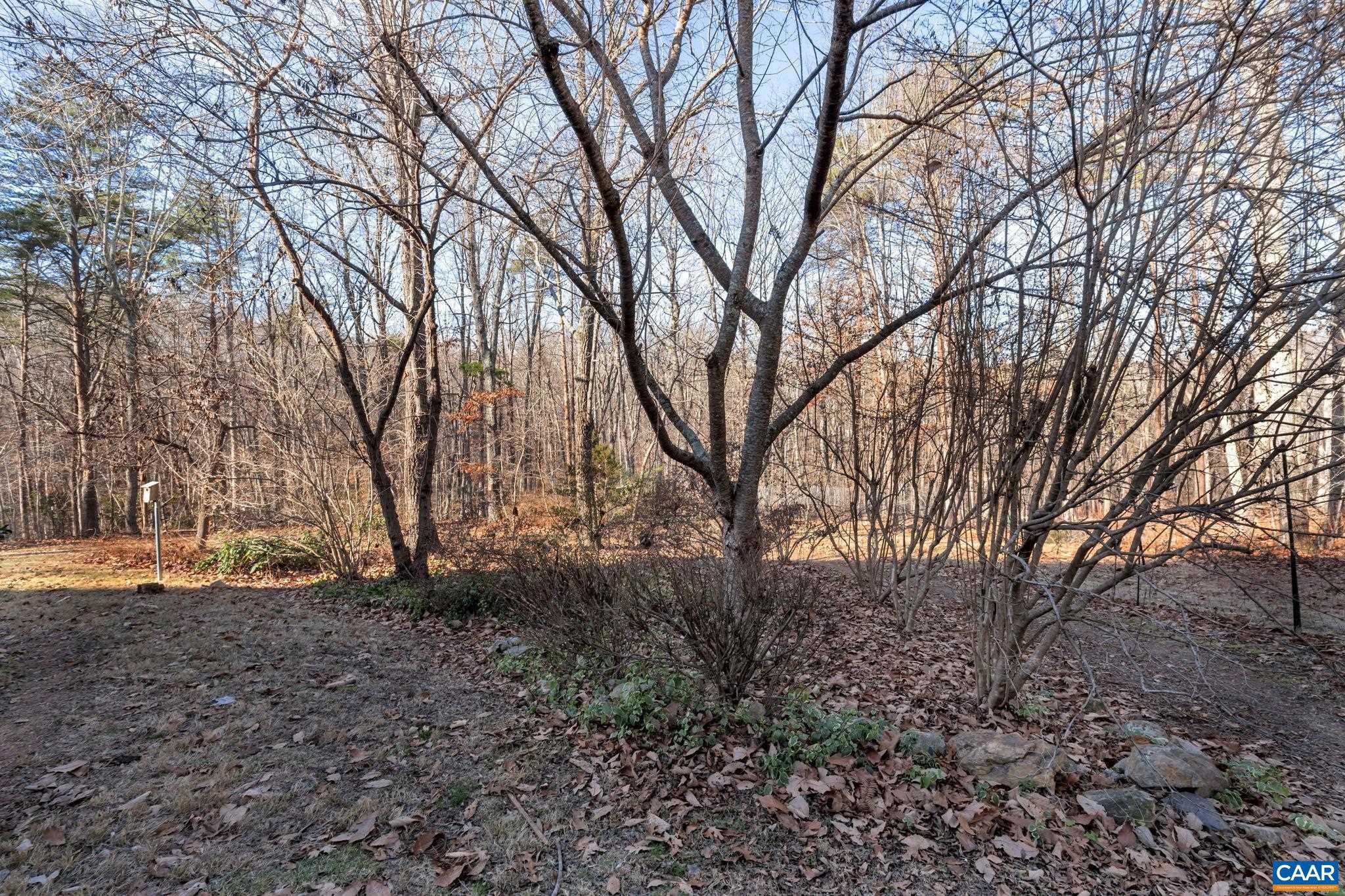 SADDLEWOOD FARMS - Residential