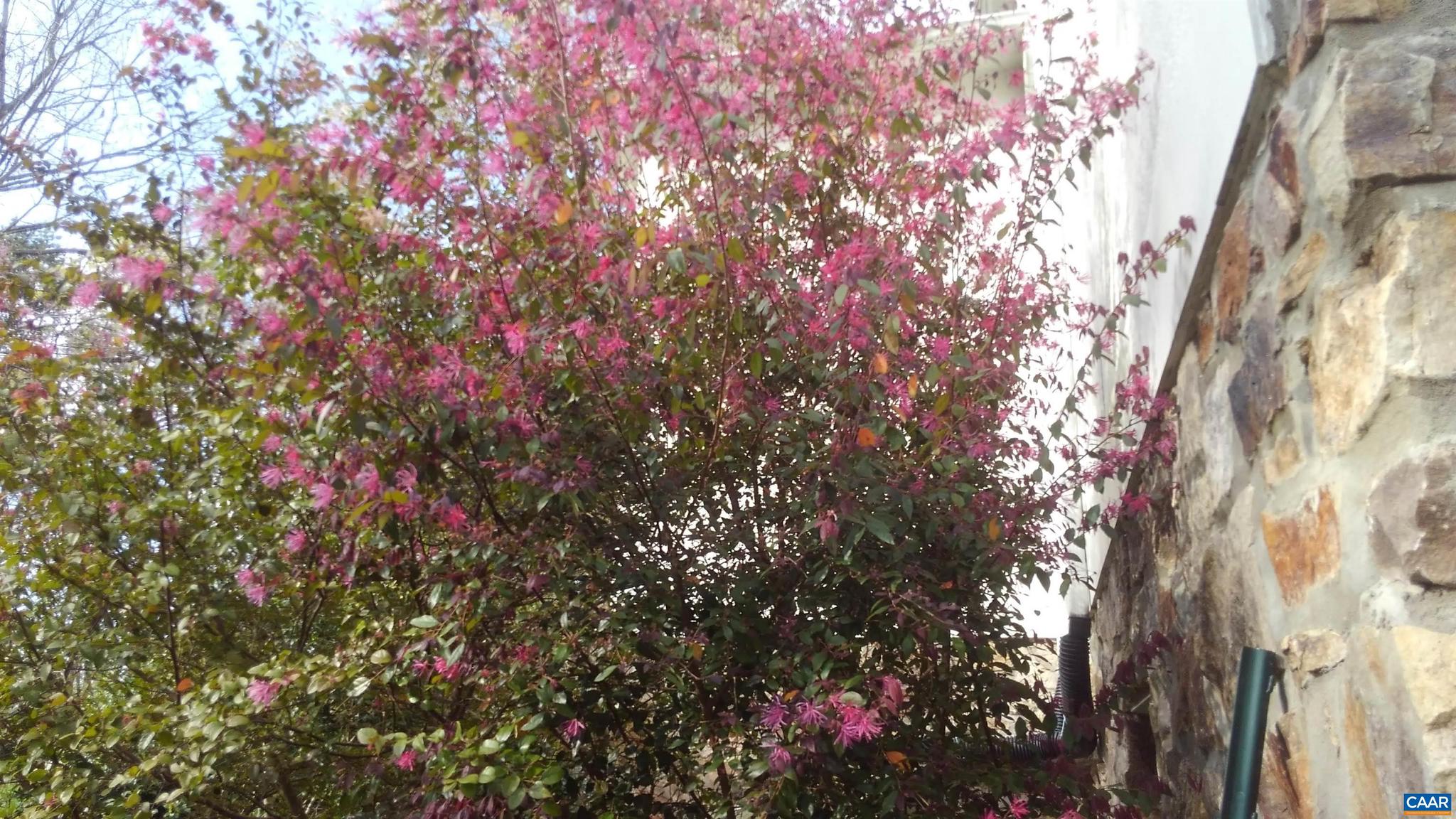 SADDLEWOOD FARMS - Residential