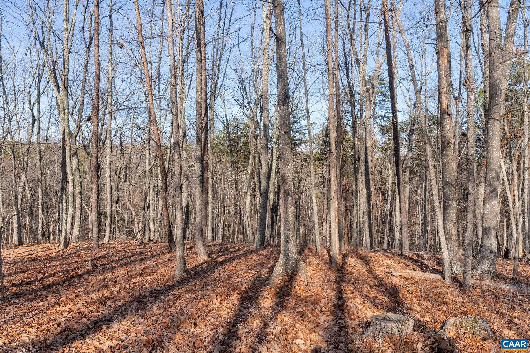 SADDLEWOOD FARMS - Residential