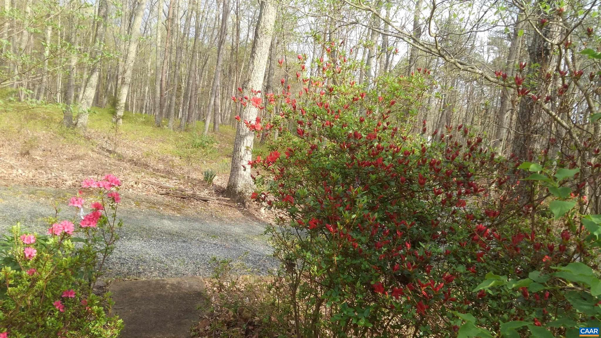 SADDLEWOOD FARMS - Residential