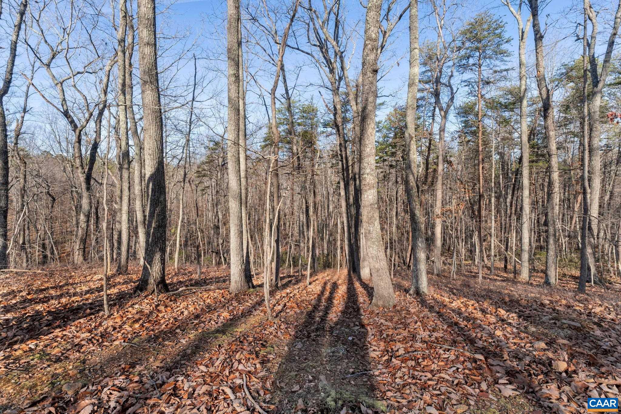 SADDLEWOOD FARMS - Residential