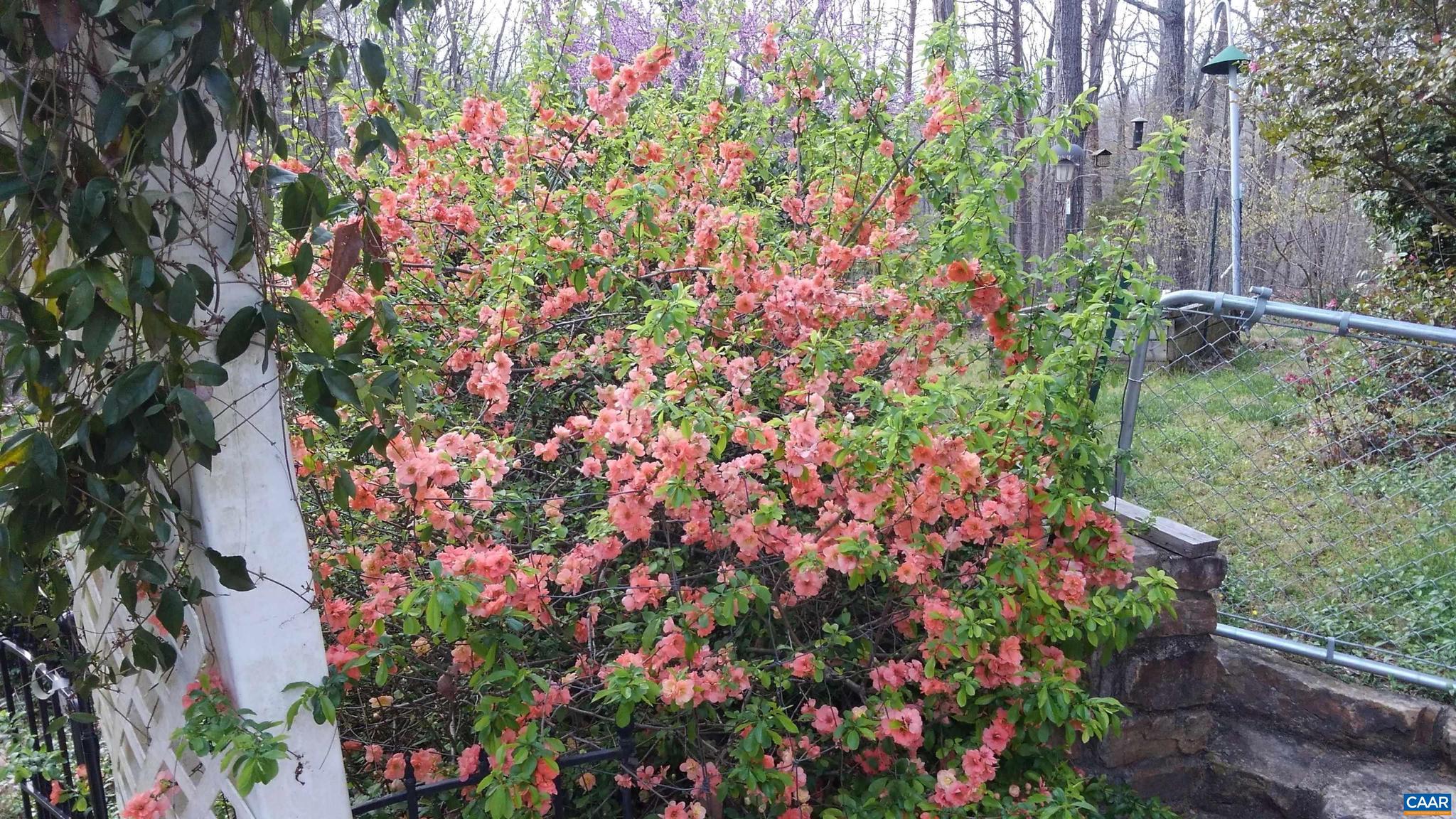 SADDLEWOOD FARMS - Residential