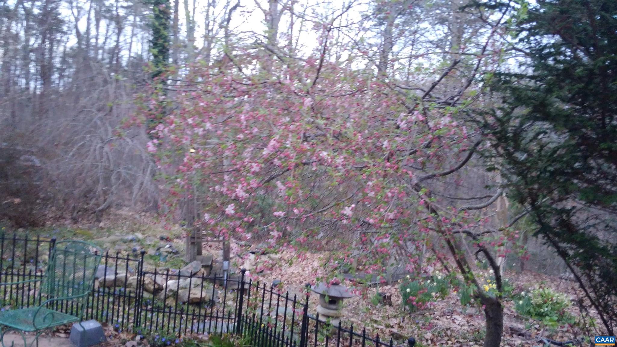 SADDLEWOOD FARMS - Residential