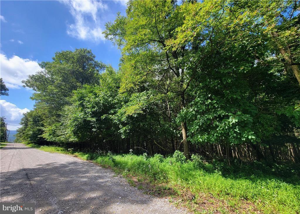 WHITETAIL CROSSING ROAD