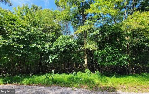 Vacant Land For Sale - Whitetail Crossing Road<br/> TAMAQUA, PA 18252