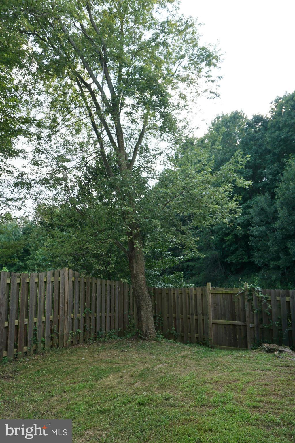 HOLLYMEAD - Residential Lease