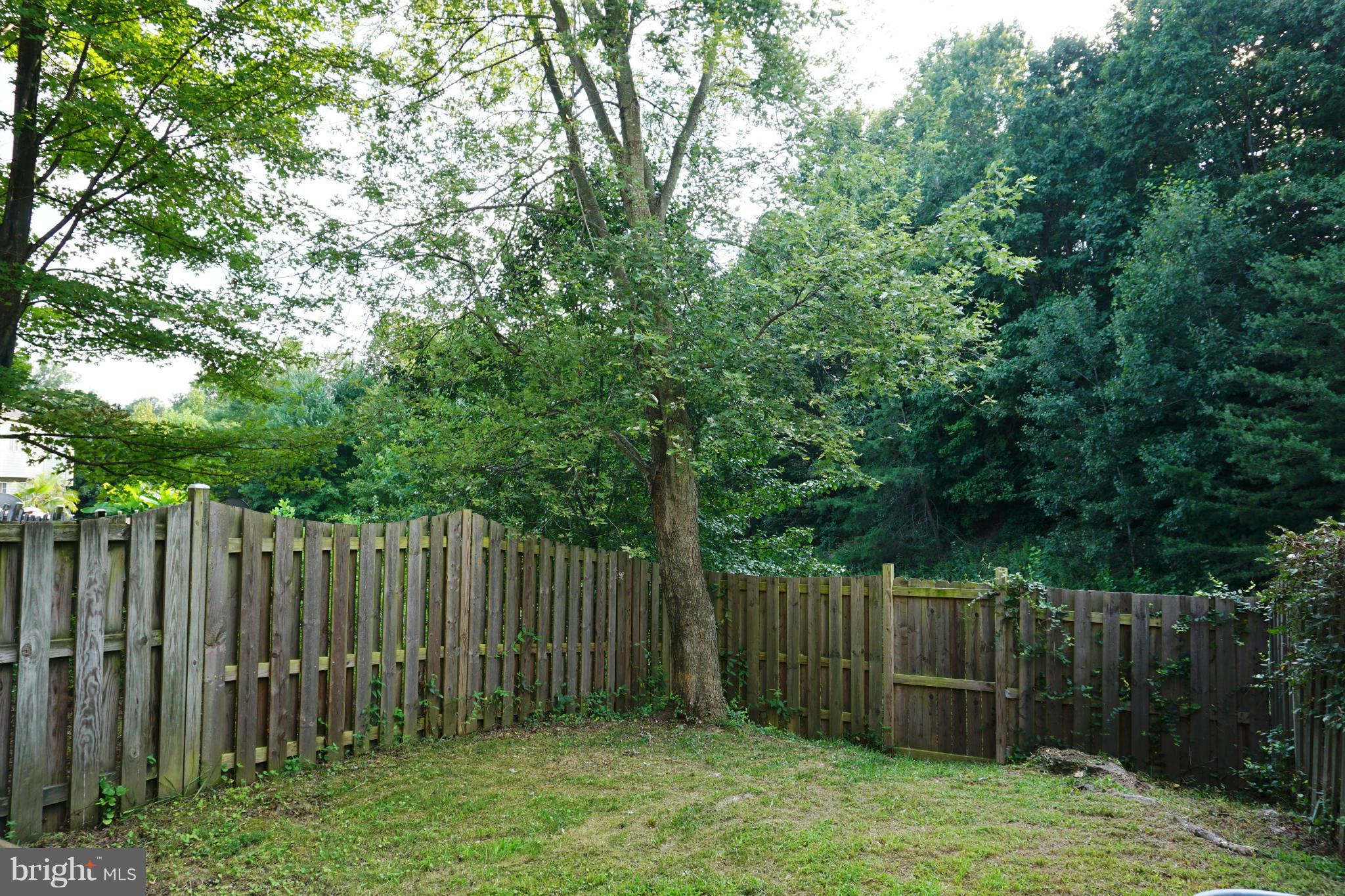 HOLLYMEAD - Residential Lease