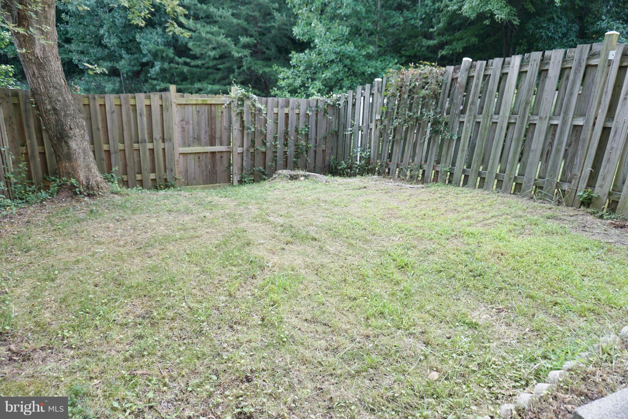 HOLLYMEAD - Residential Lease