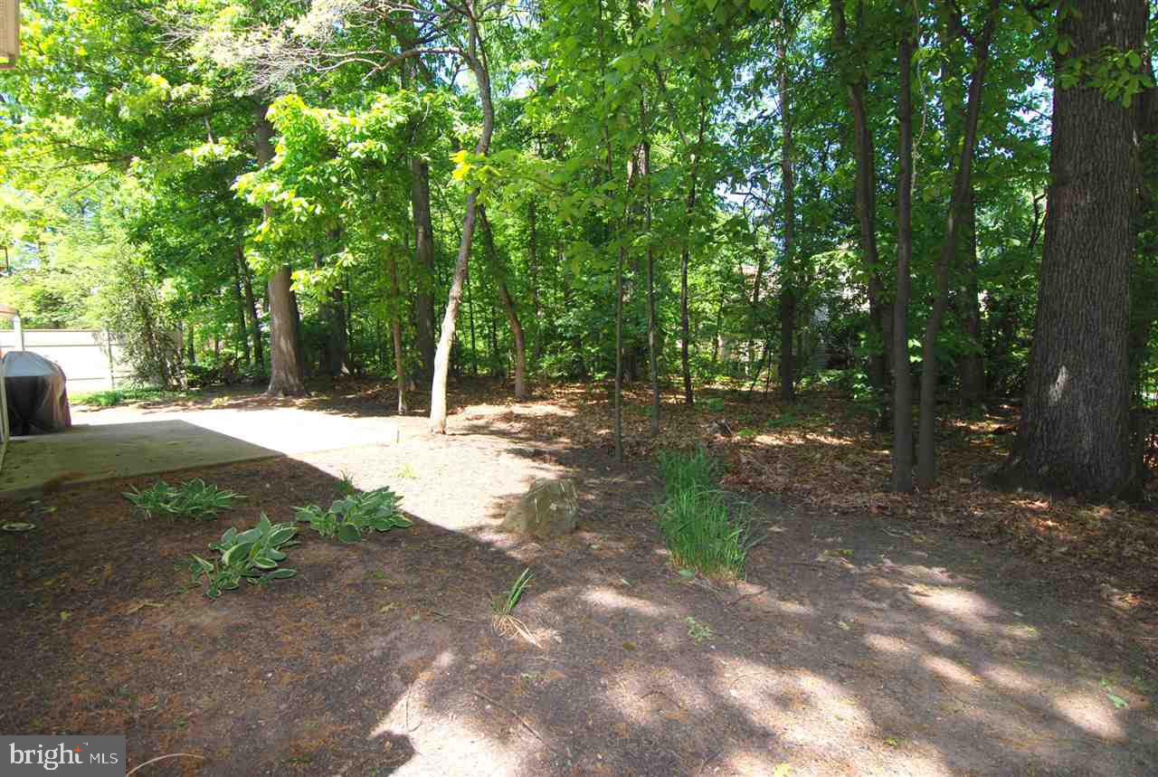 ROSENMILLER WOODS - Residential