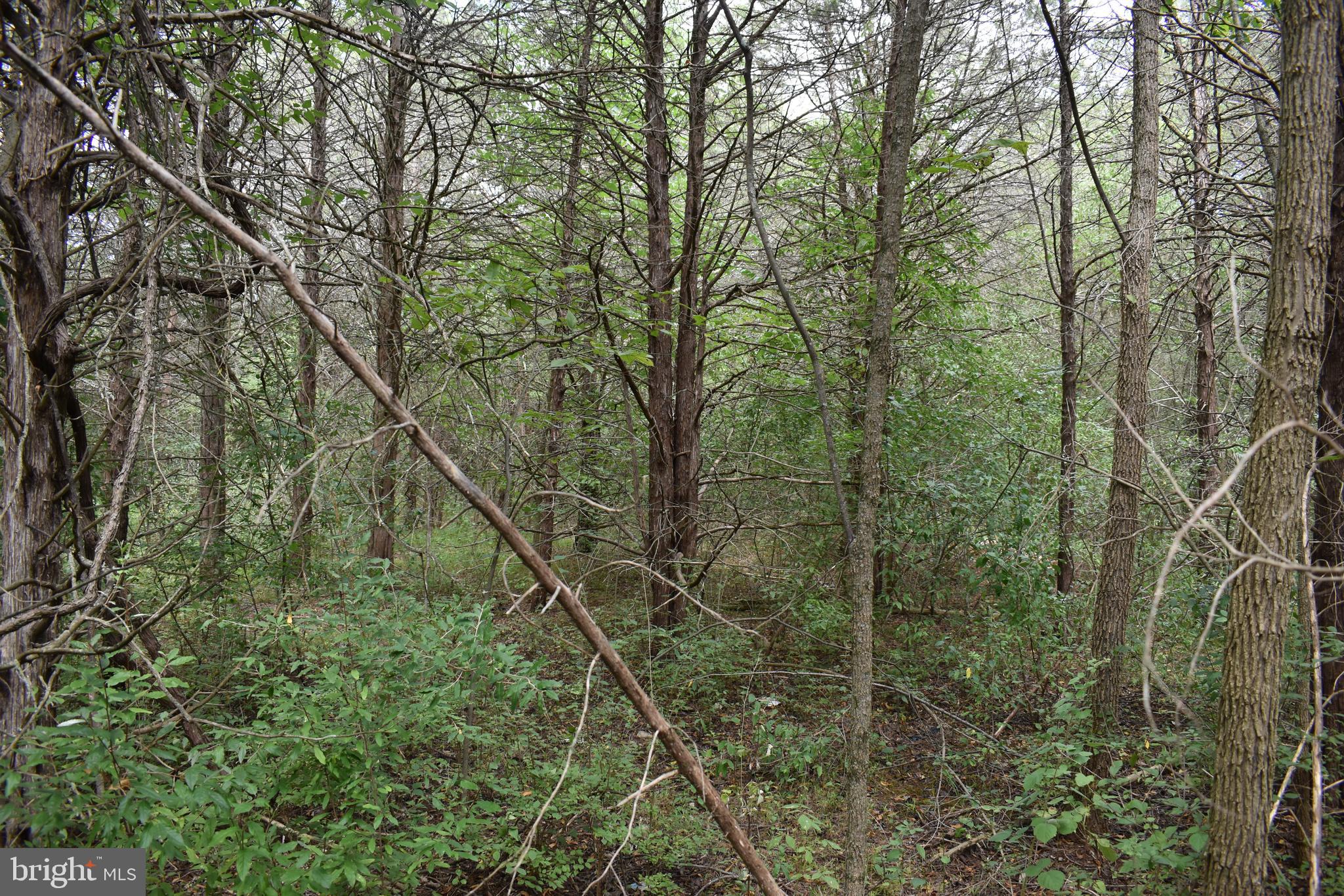 OPEQUON RANCH CLUB - Land