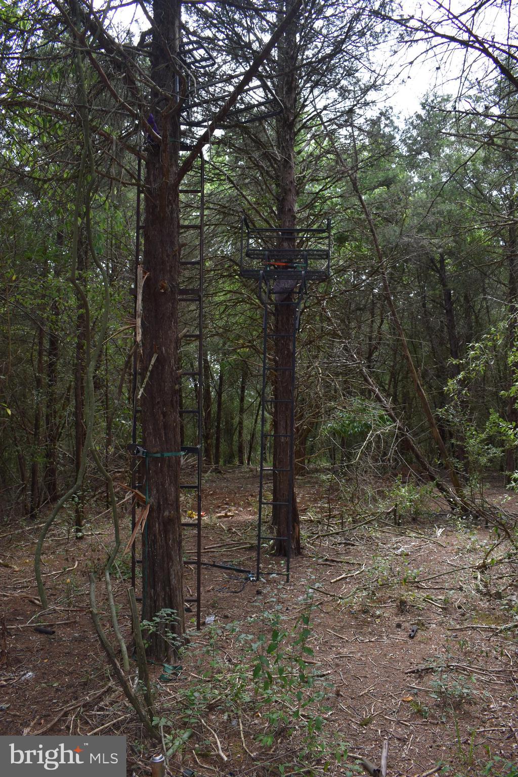 OPEQUON RANCH CLUB - Land