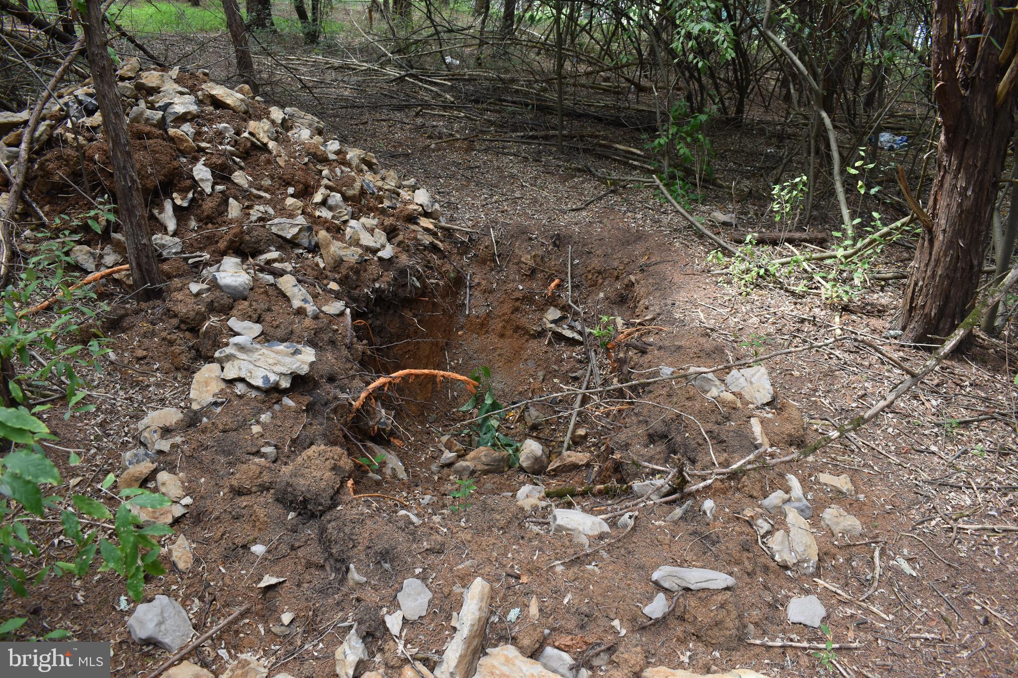 OPEQUON RANCH CLUB - Land