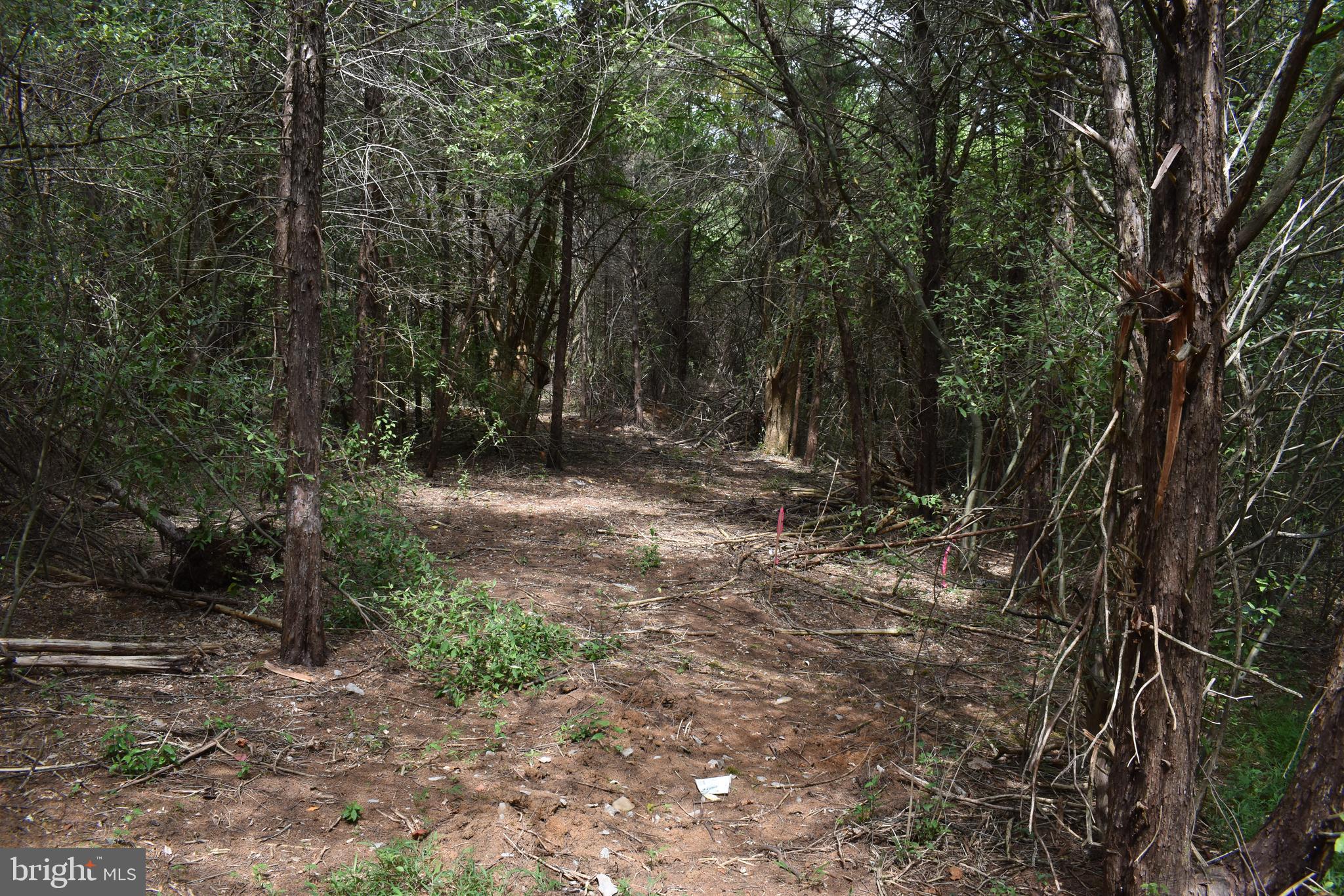 OPEQUON RANCH CLUB - Land