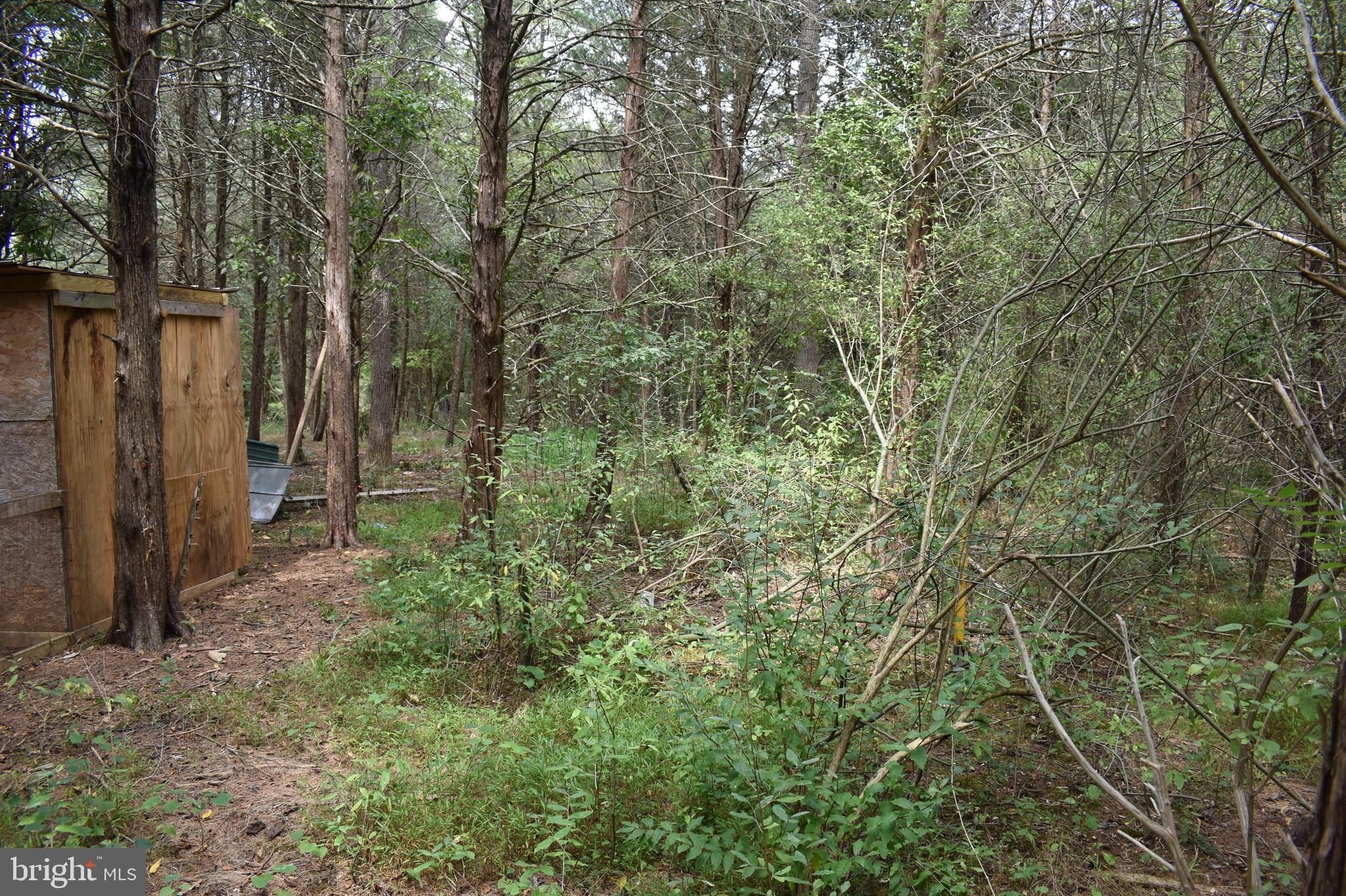 OPEQUON RANCH CLUB - Land