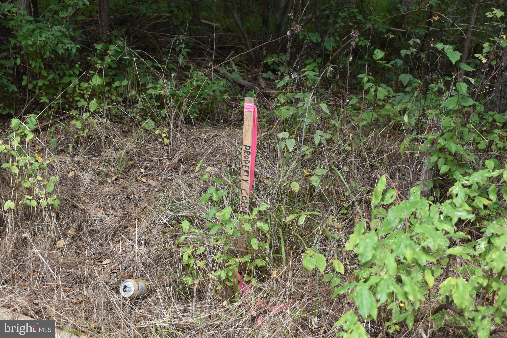 OPEQUON RANCH CLUB - Land