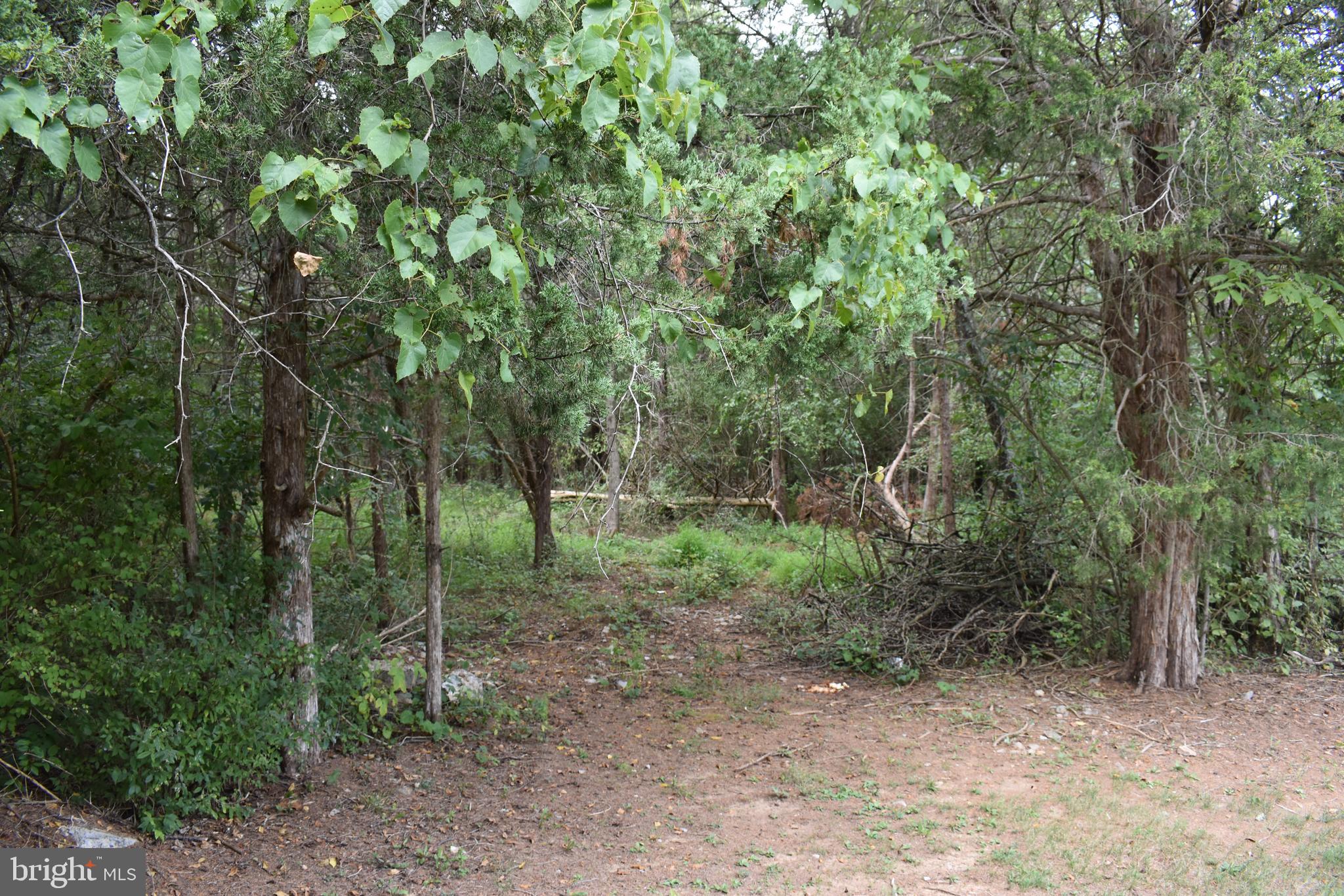 OPEQUON RANCH CLUB - Land