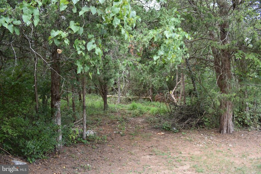 Over one acre building lot in South Western Jefferson County with backroads all the way to Route 7!  This is a country commuters paradise.  Unrestricted lots and wildlife and paved road access.  Lot 3 is half of the owners land on Martin Payne and Lot 4 is approximately the same size.  We are preparing to list once Perc Test is completed on Lot 4.  This lot is a sand mound alternative septic system.  These properties are very flat and there are some larger trees, but most can easily be cleared to create your ideal building site.