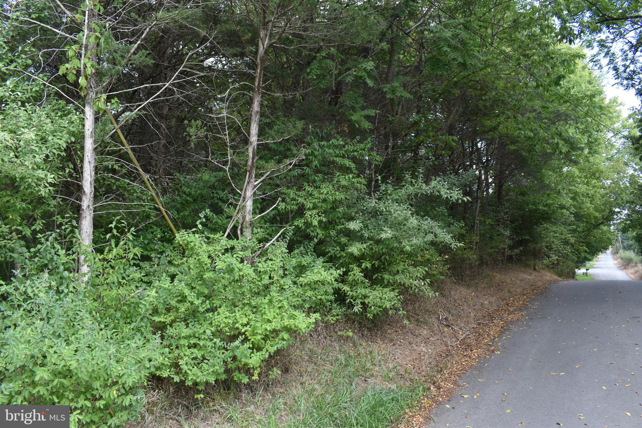 OPEQUON RANCH CLUB - Land