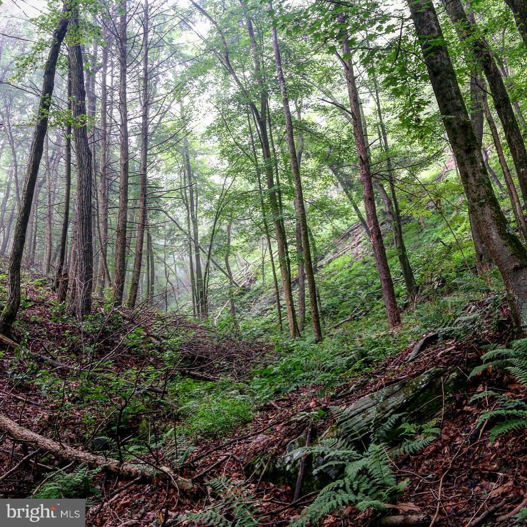 NONE AVAILABLE - Land