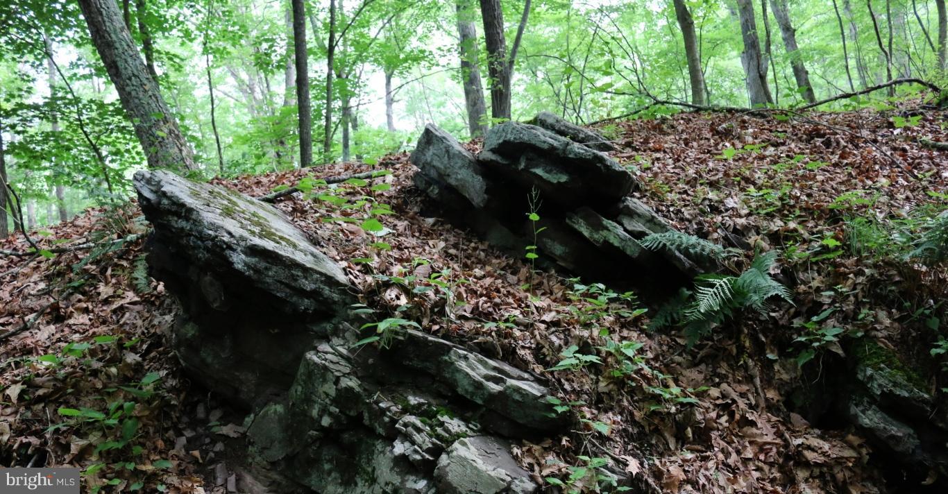 NONE AVAILABLE - Land