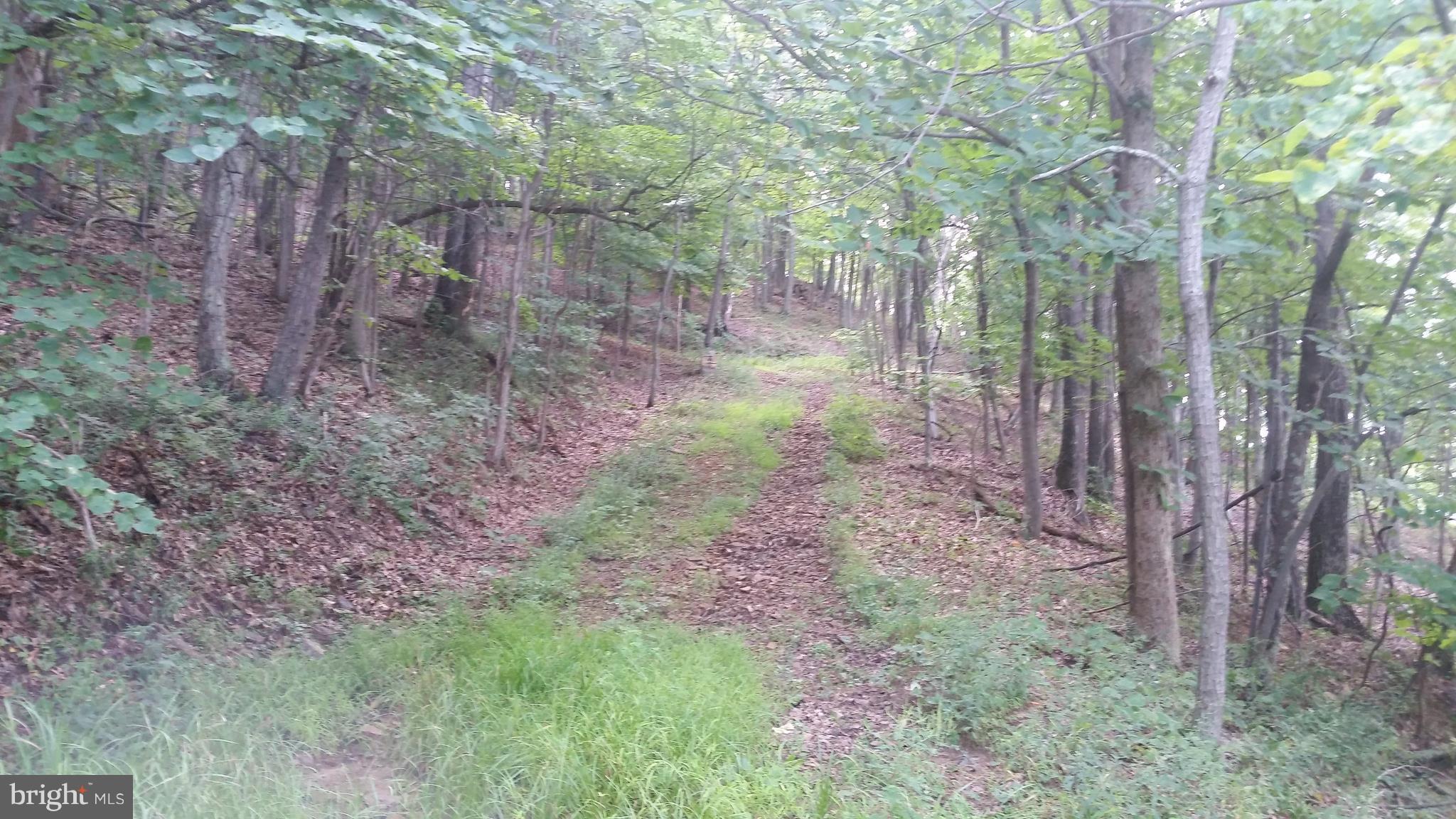 NONE AVAILABLE - Land