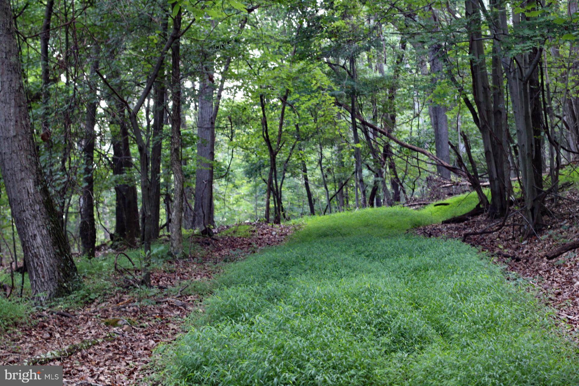 NONE AVAILABLE - Land